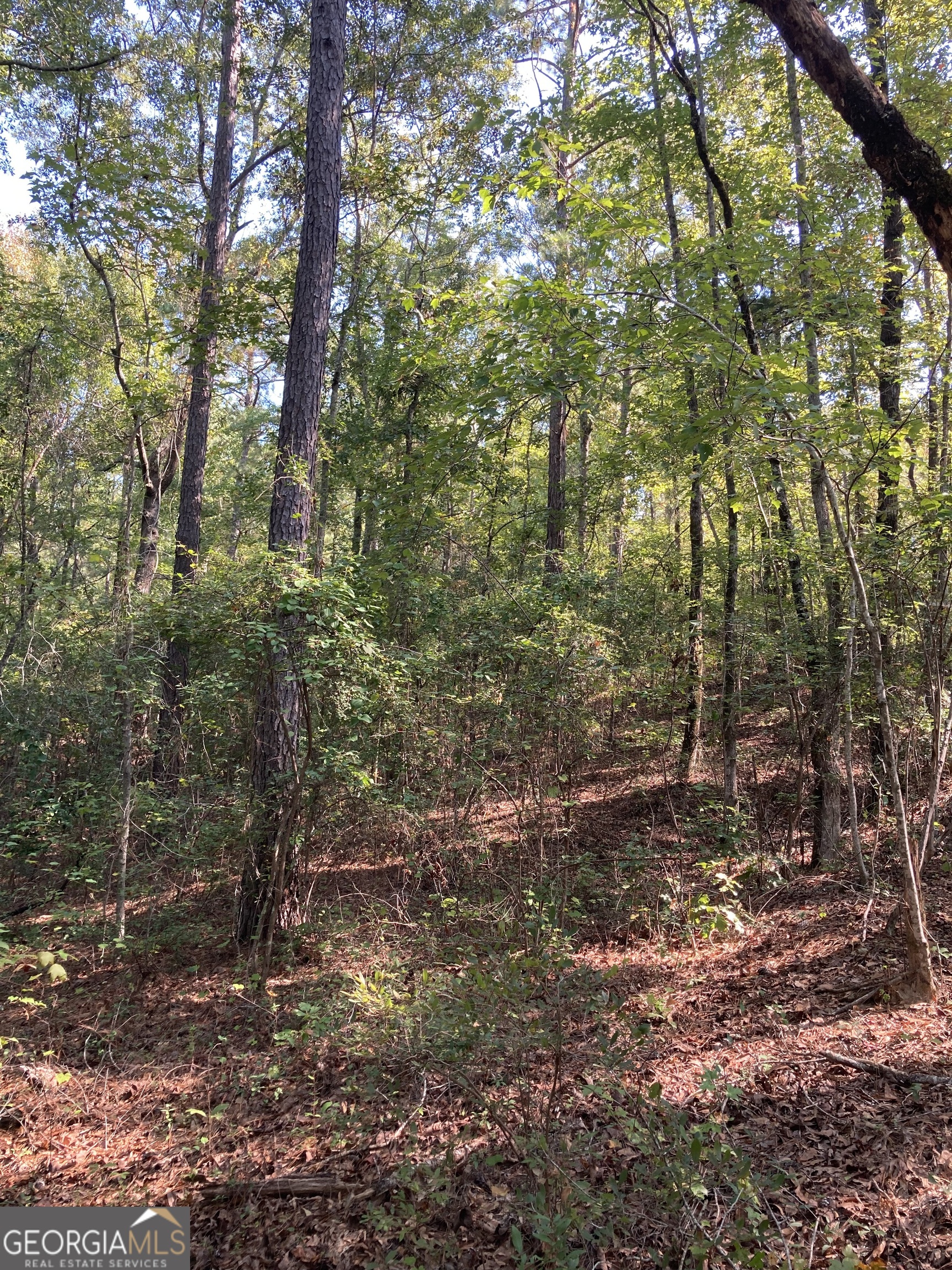 0 Firetower Road Property Photo 11