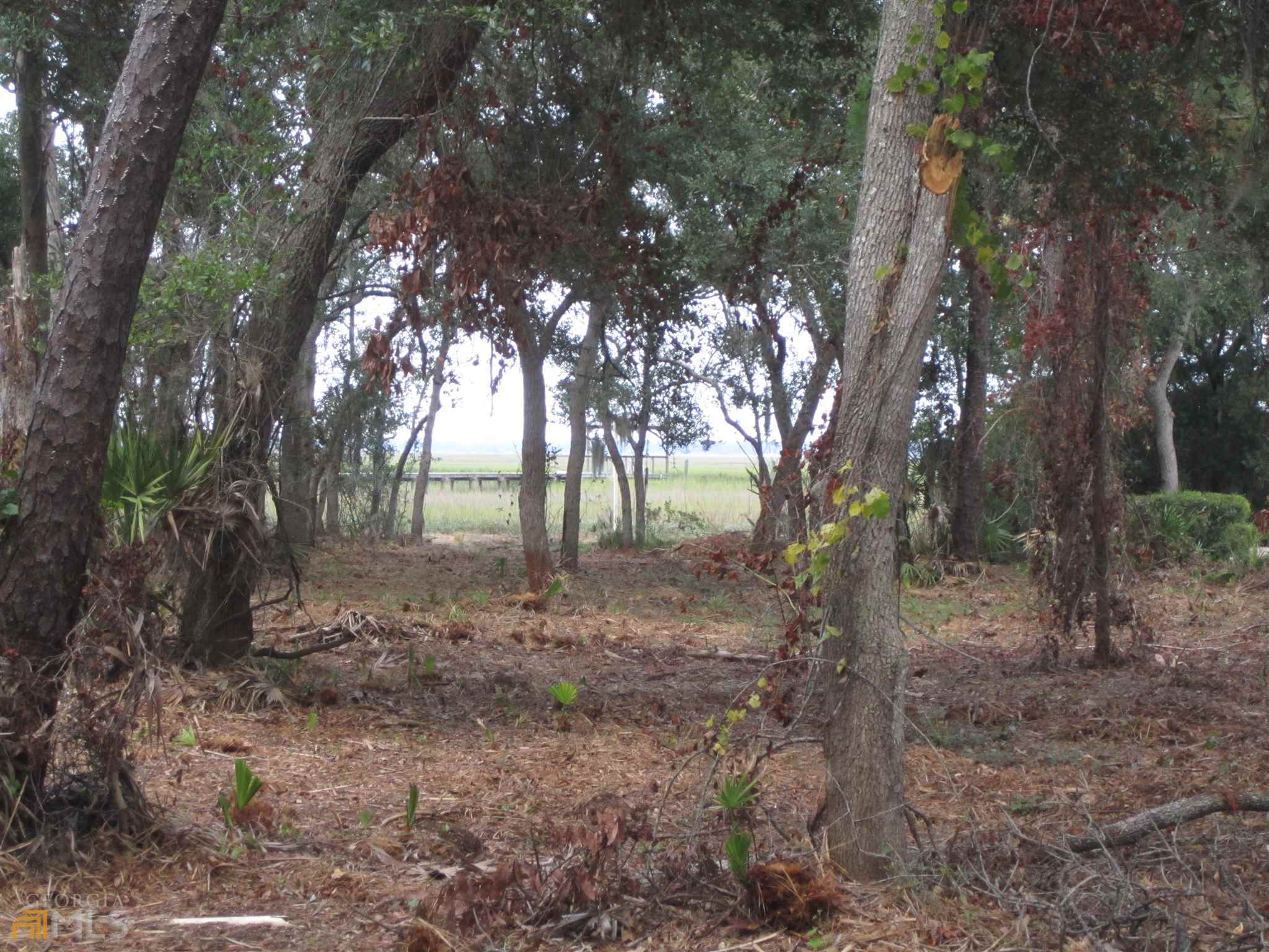 V/l 59 Timucuan Court Property Photo 18