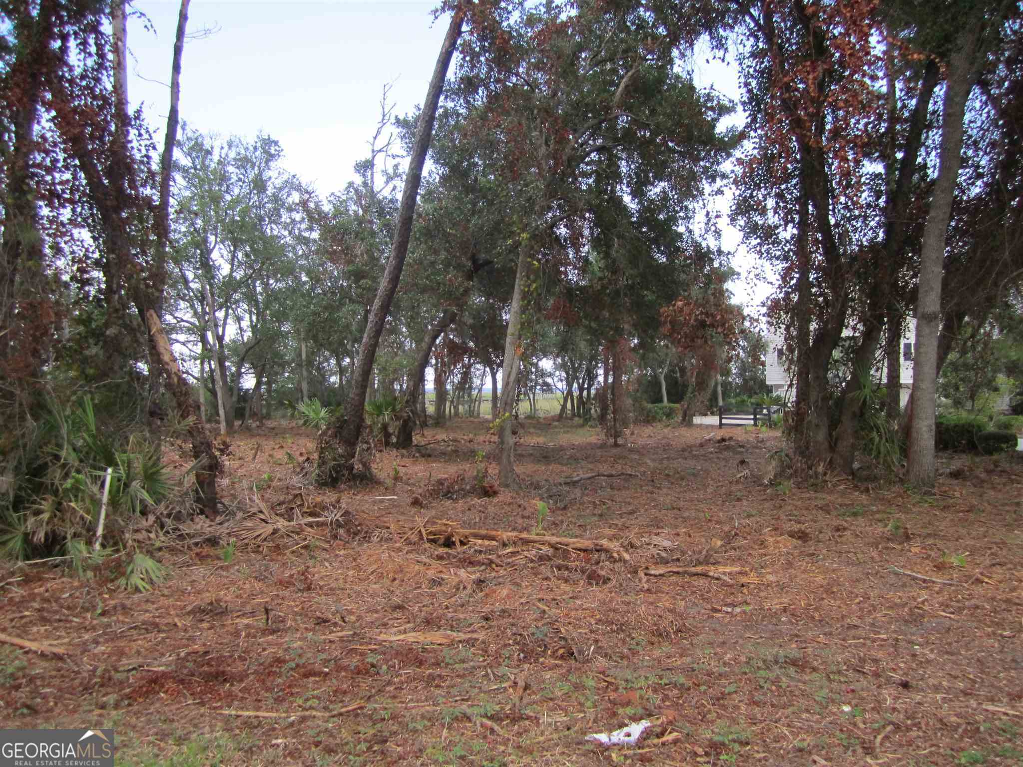 V/l 59 Timucuan Court Property Photo 19
