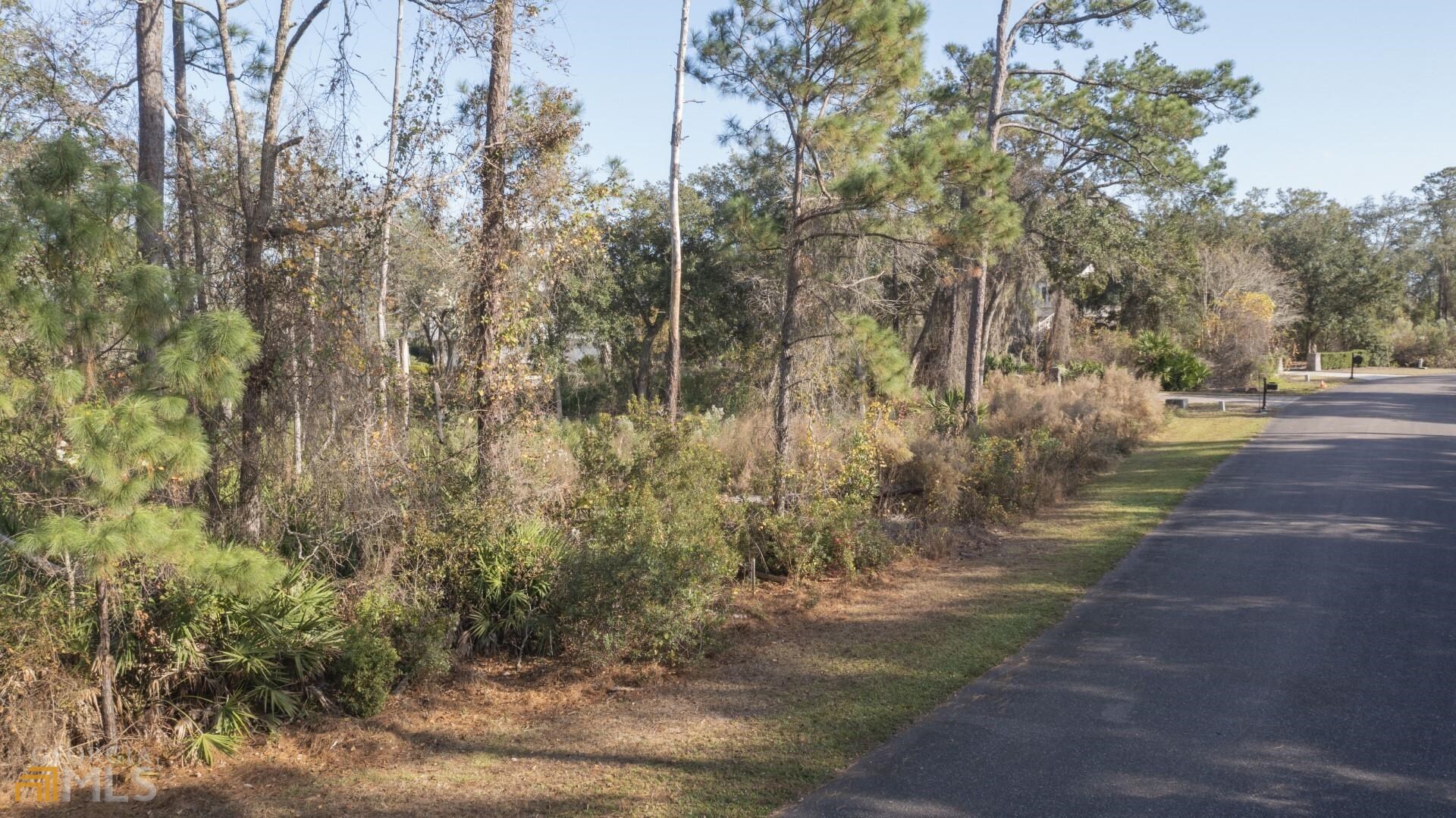 V/l 59 Timucuan Court Property Photo 21