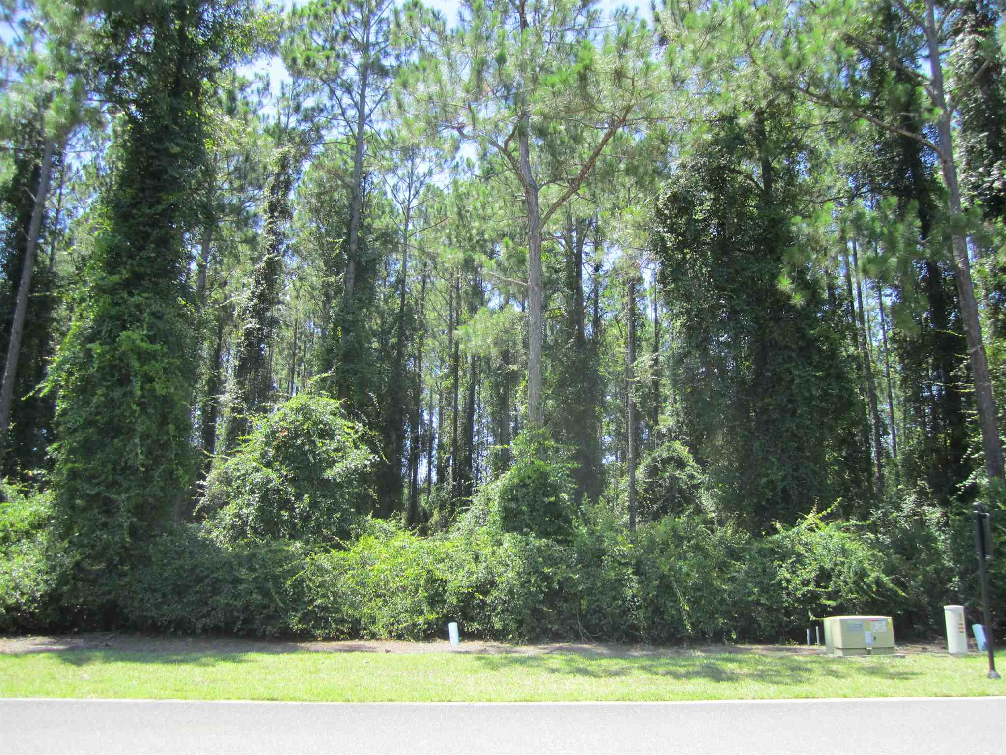 V/l 81 Property Photo 5