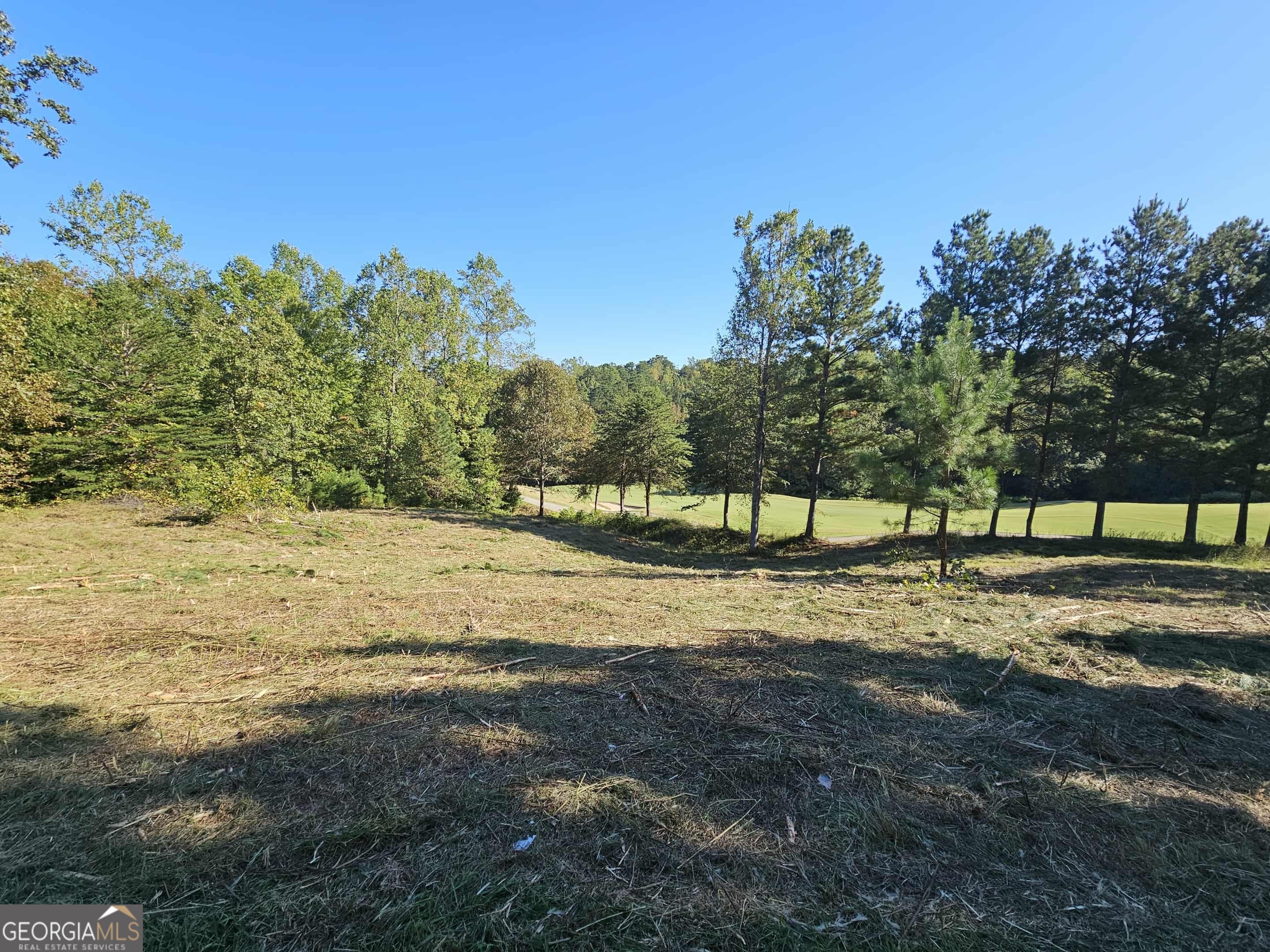 256 Golf Ridge Way Property Photo 2