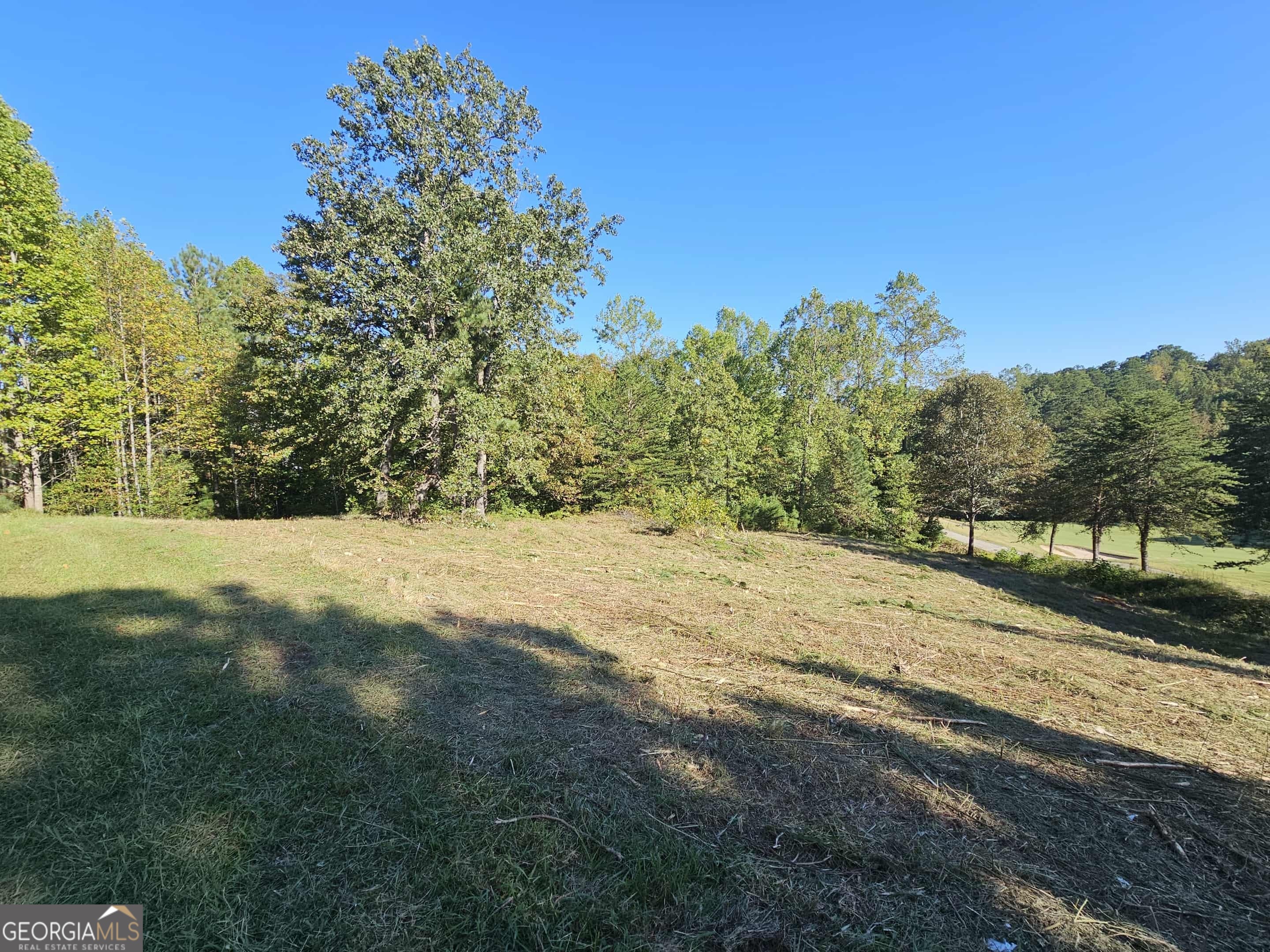 256 Golf Ridge Way Property Photo 3