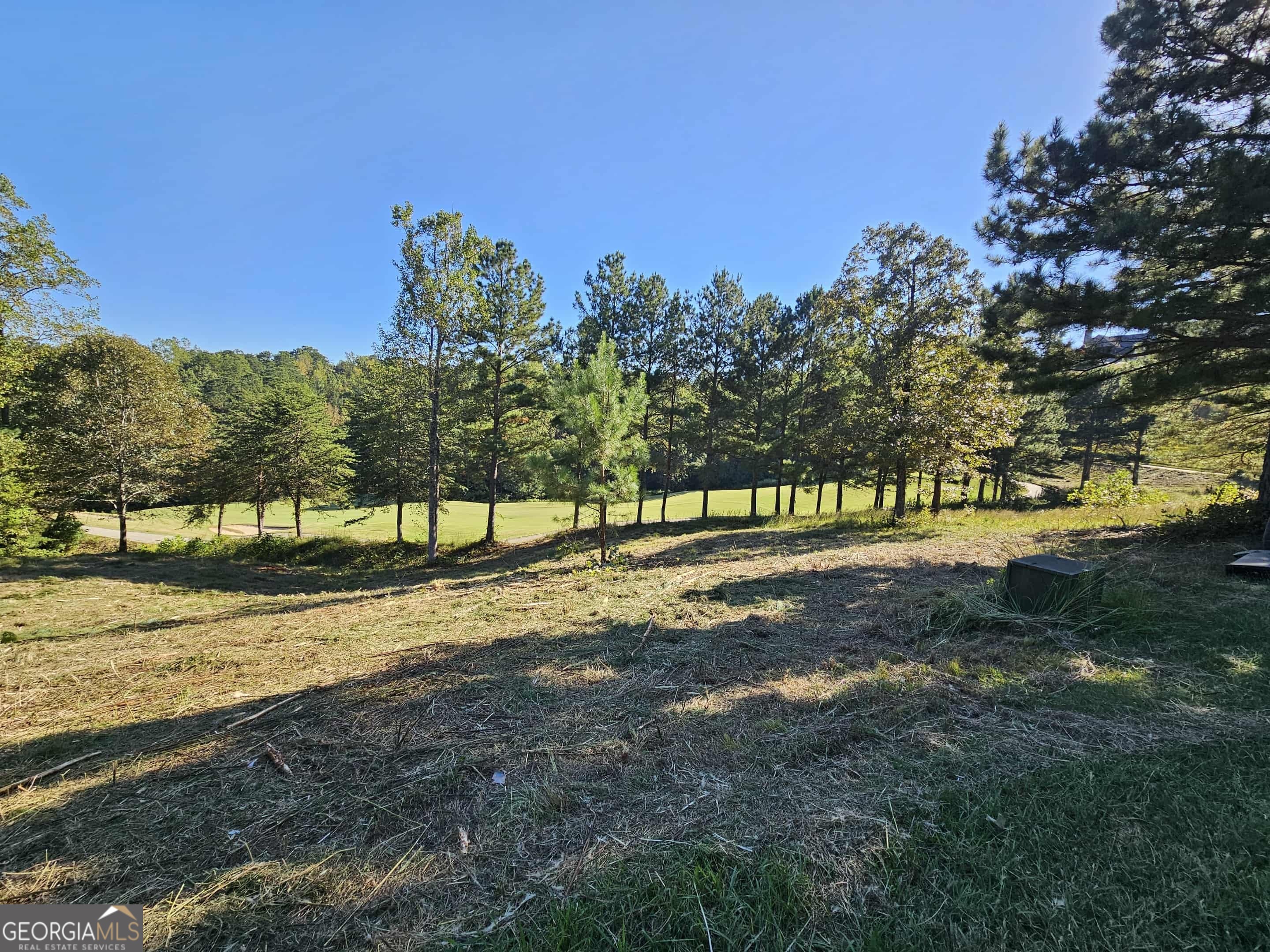 256 Golf Ridge Way Property Photo 4