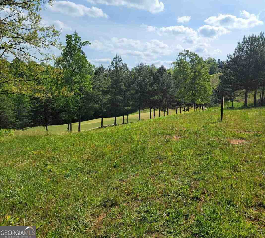 256 Golf Ridge Way Property Photo 6