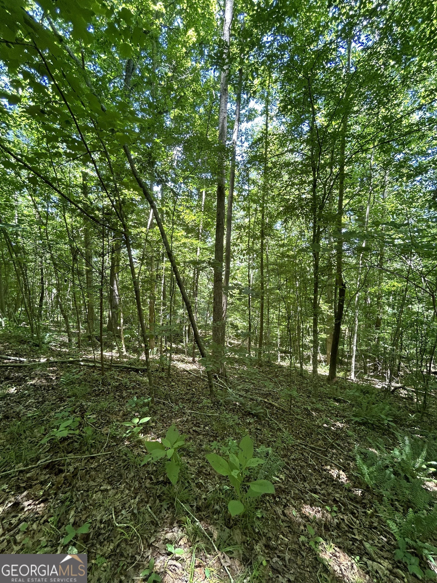 0 Sawtooth Place Property Photo 17