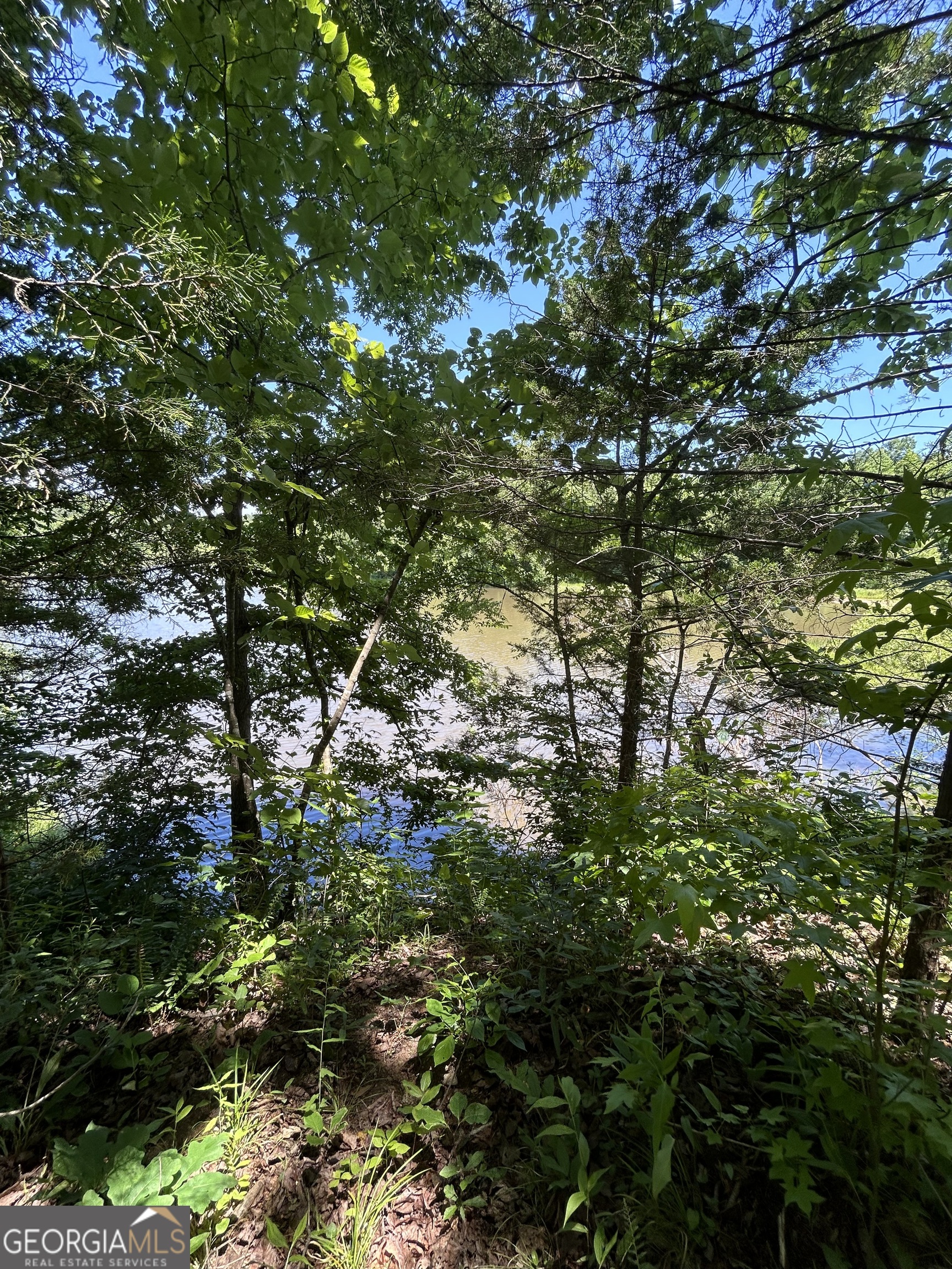 0 Sawtooth Place Property Photo 19