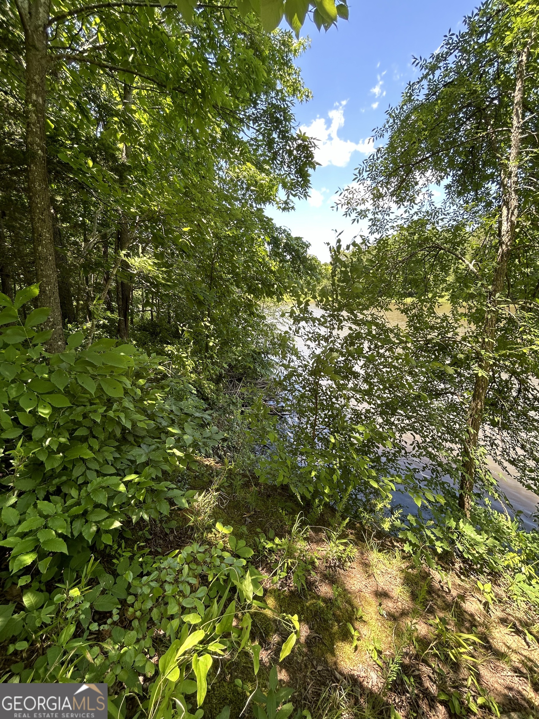 0 Sawtooth Place Property Photo 20