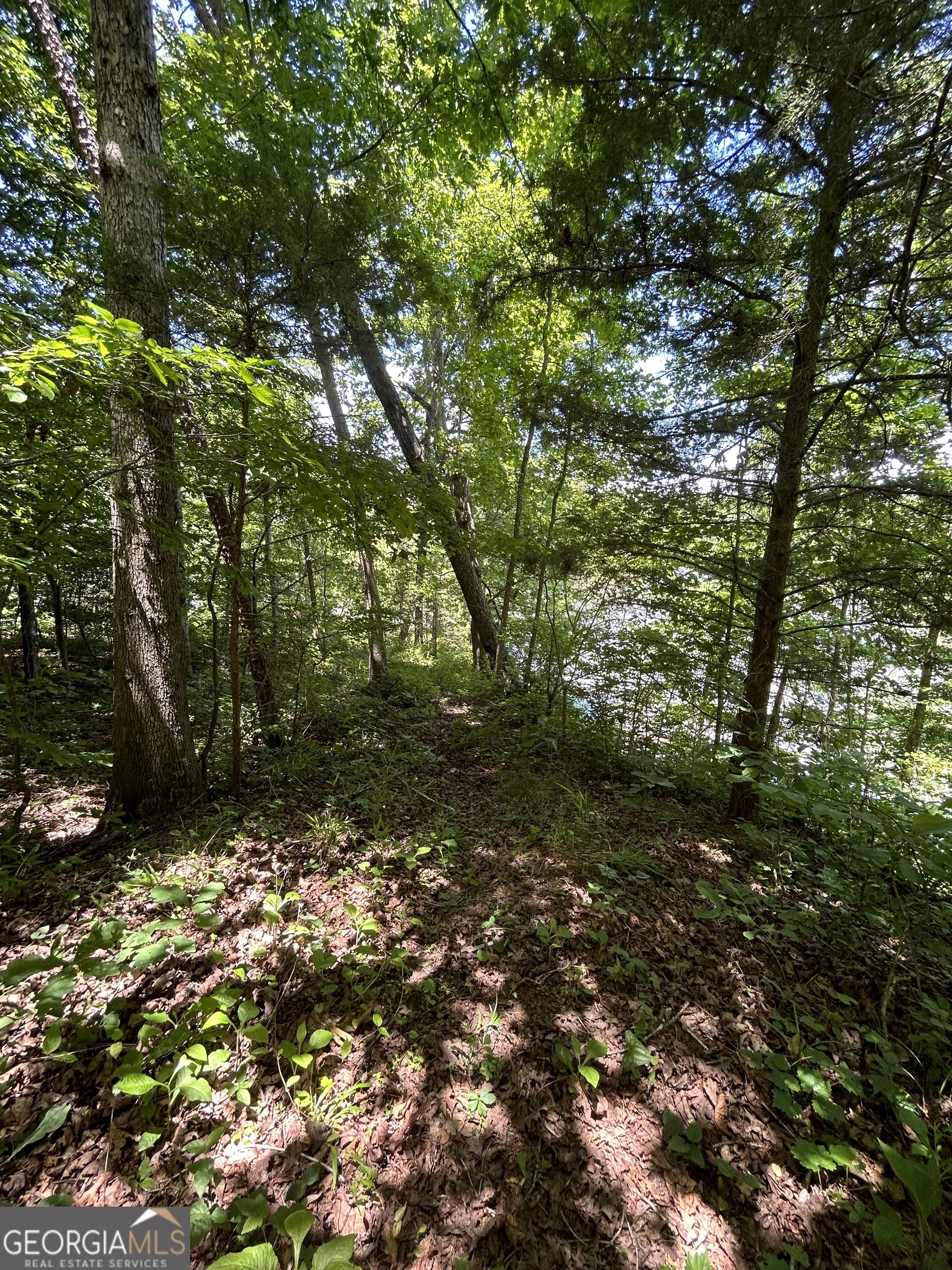 0 Sawtooth Place Property Photo 21