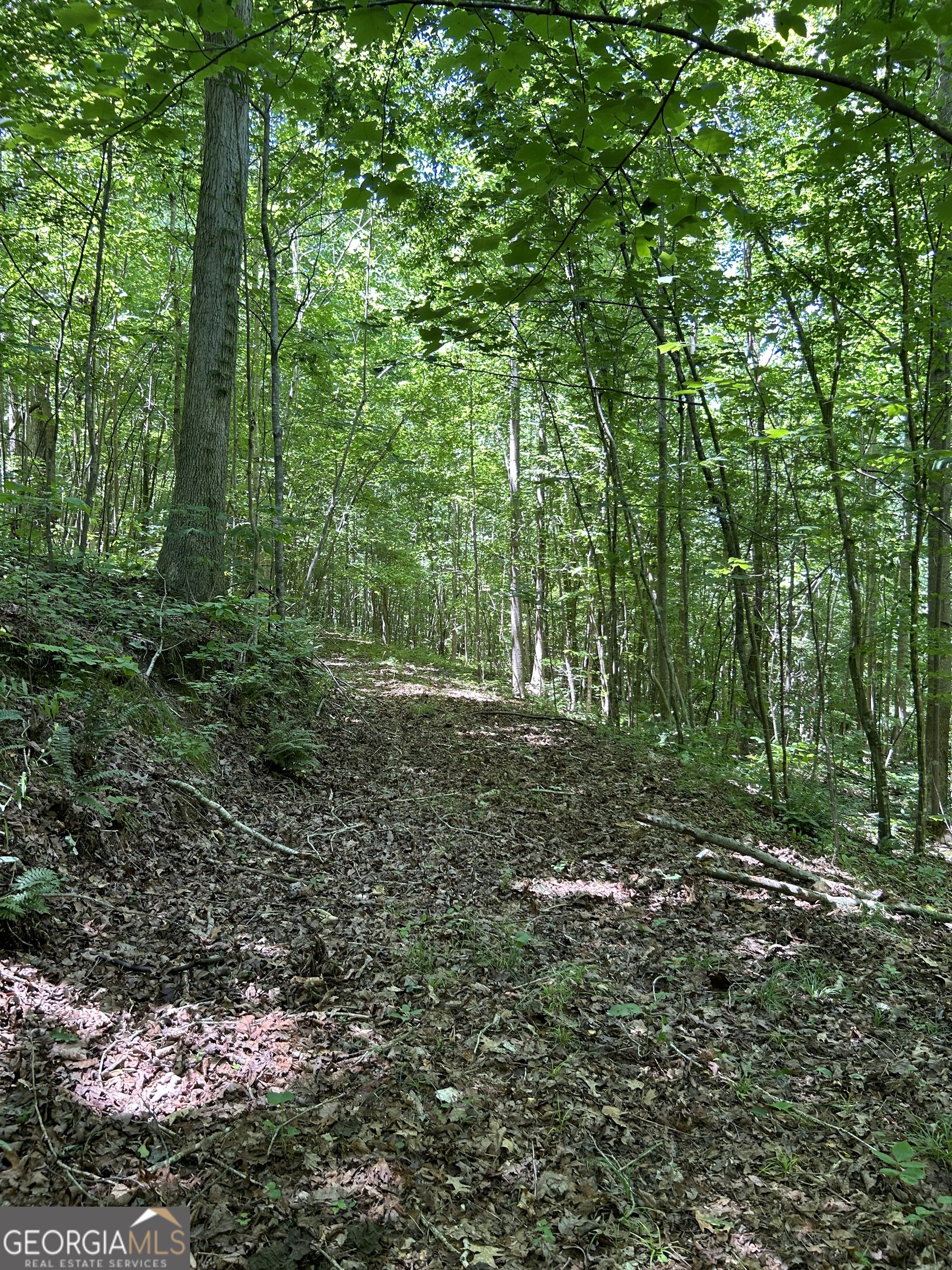 0 Sawtooth Place Property Photo 22