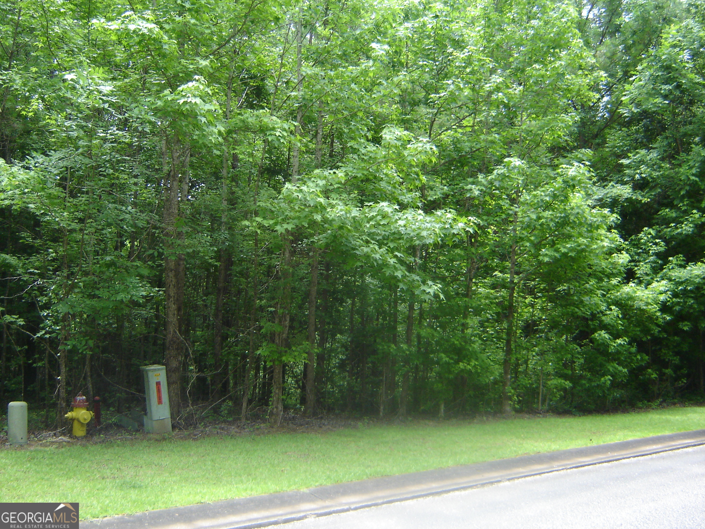 Lot 17 Cambridge Court Property Photo 4
