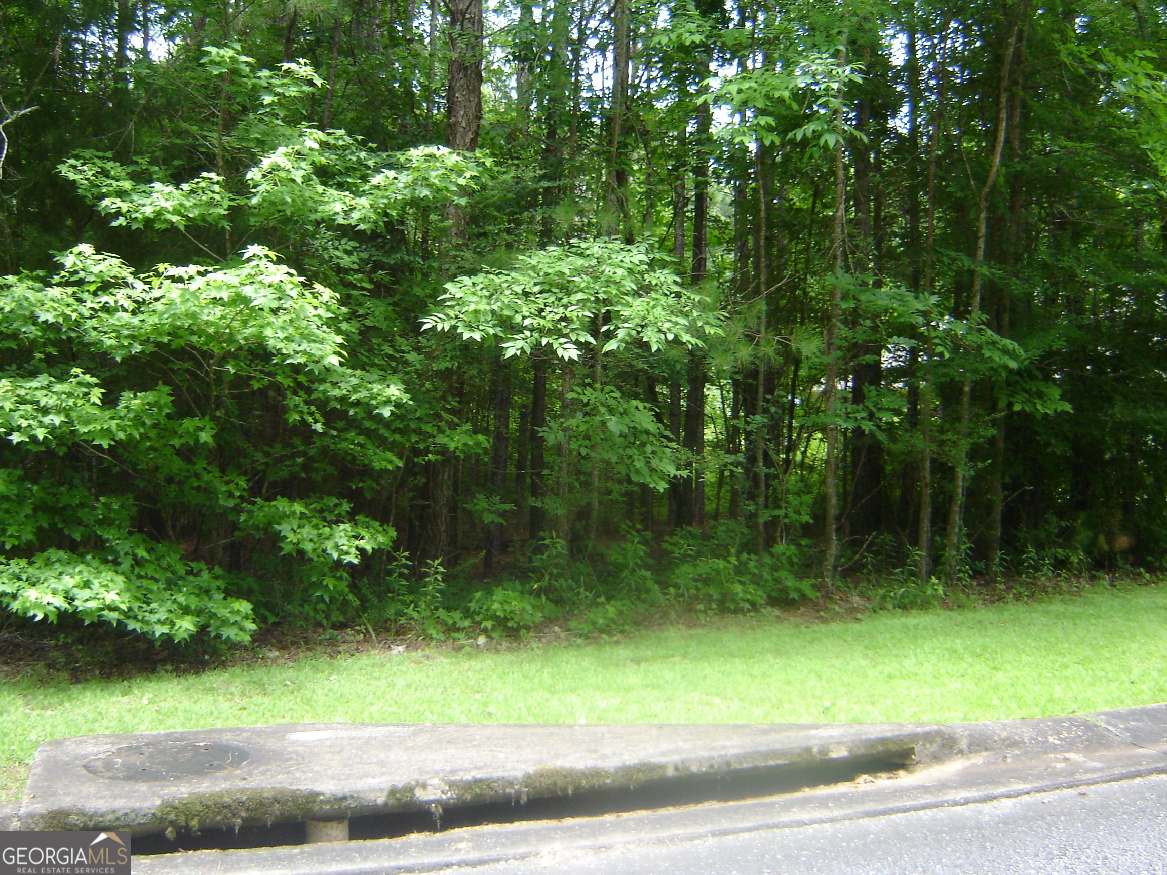 Lot 17 Cambridge Court Property Photo 6