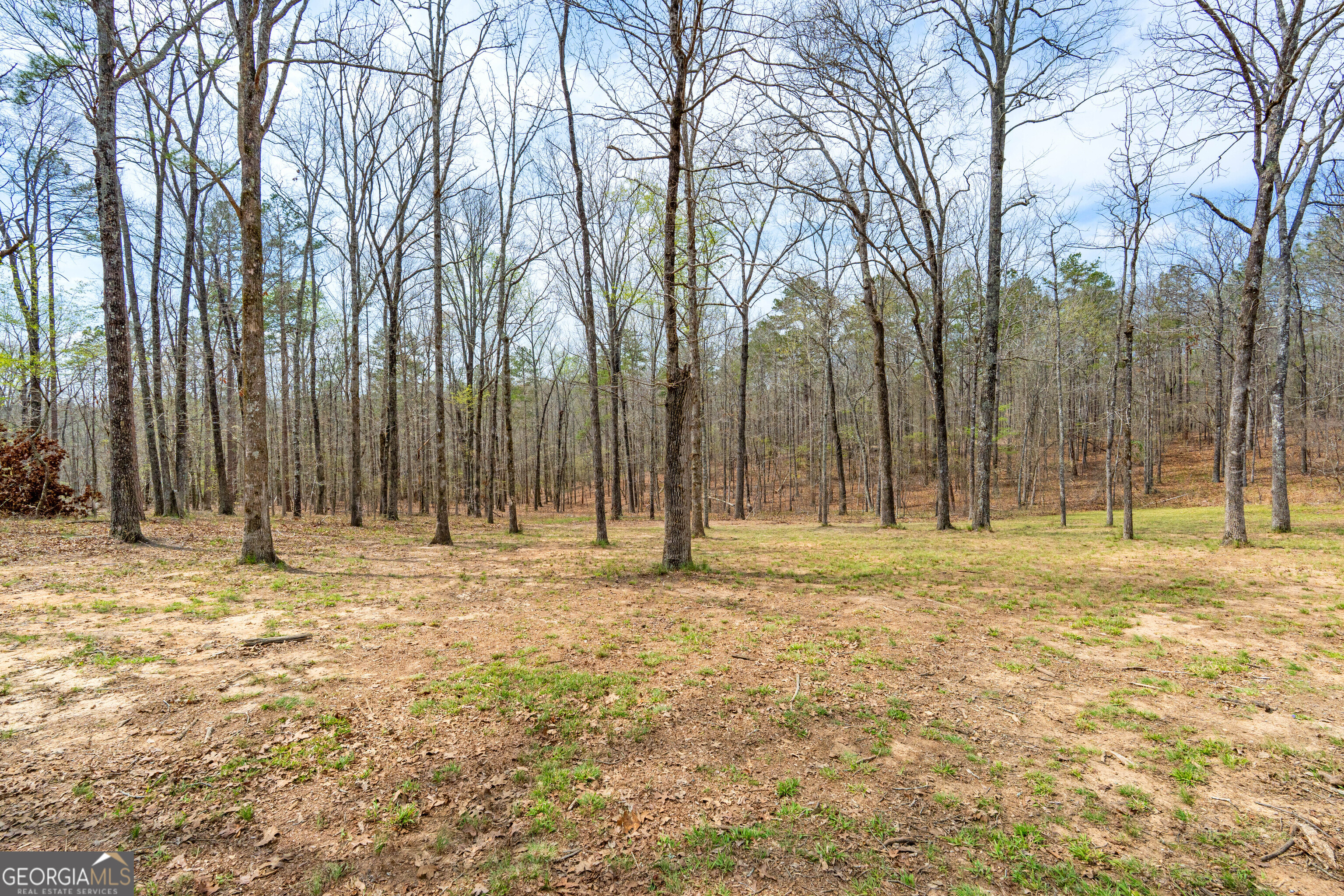 733 Cherry Road Property Photo 51