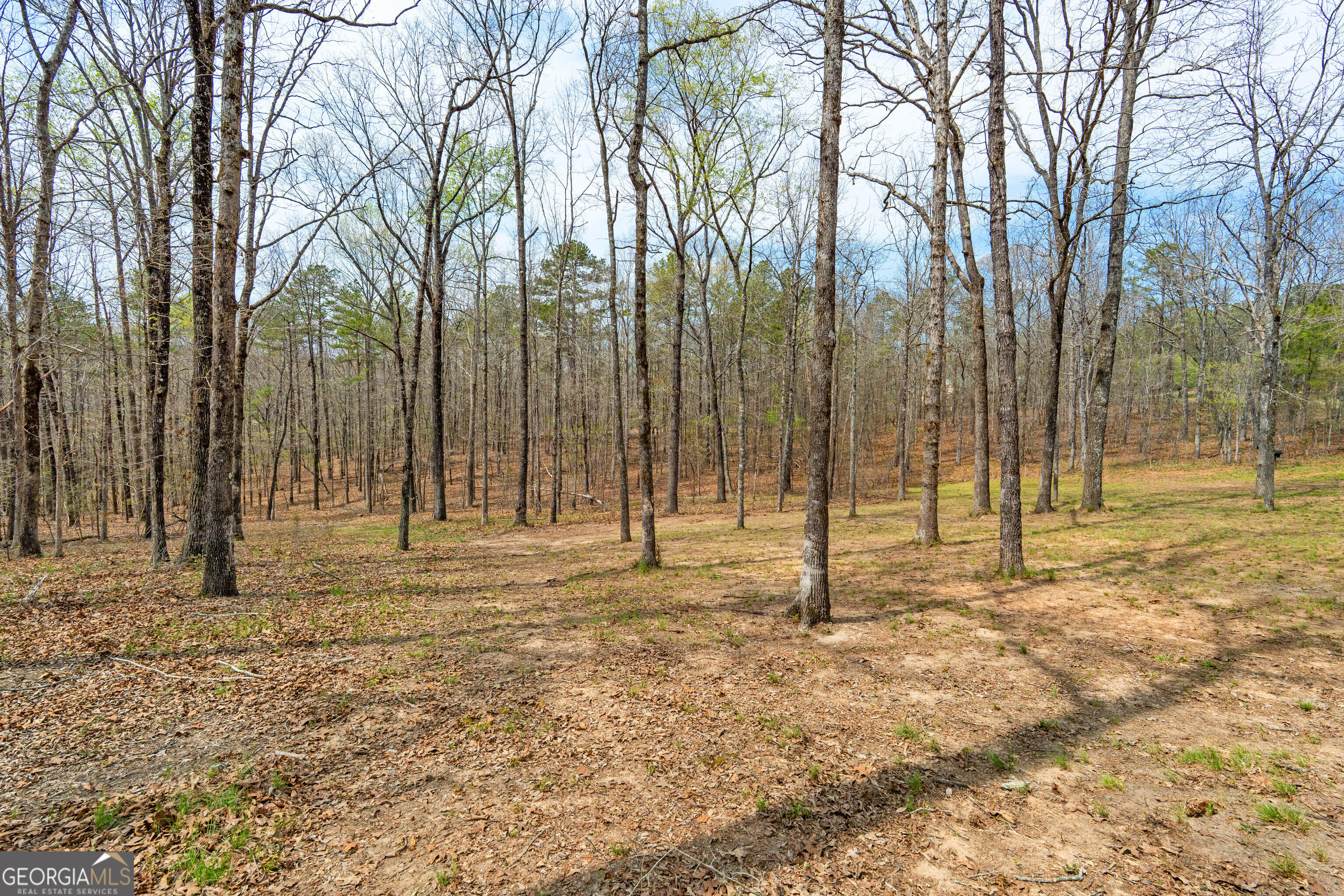 733 Cherry Road Property Photo 52