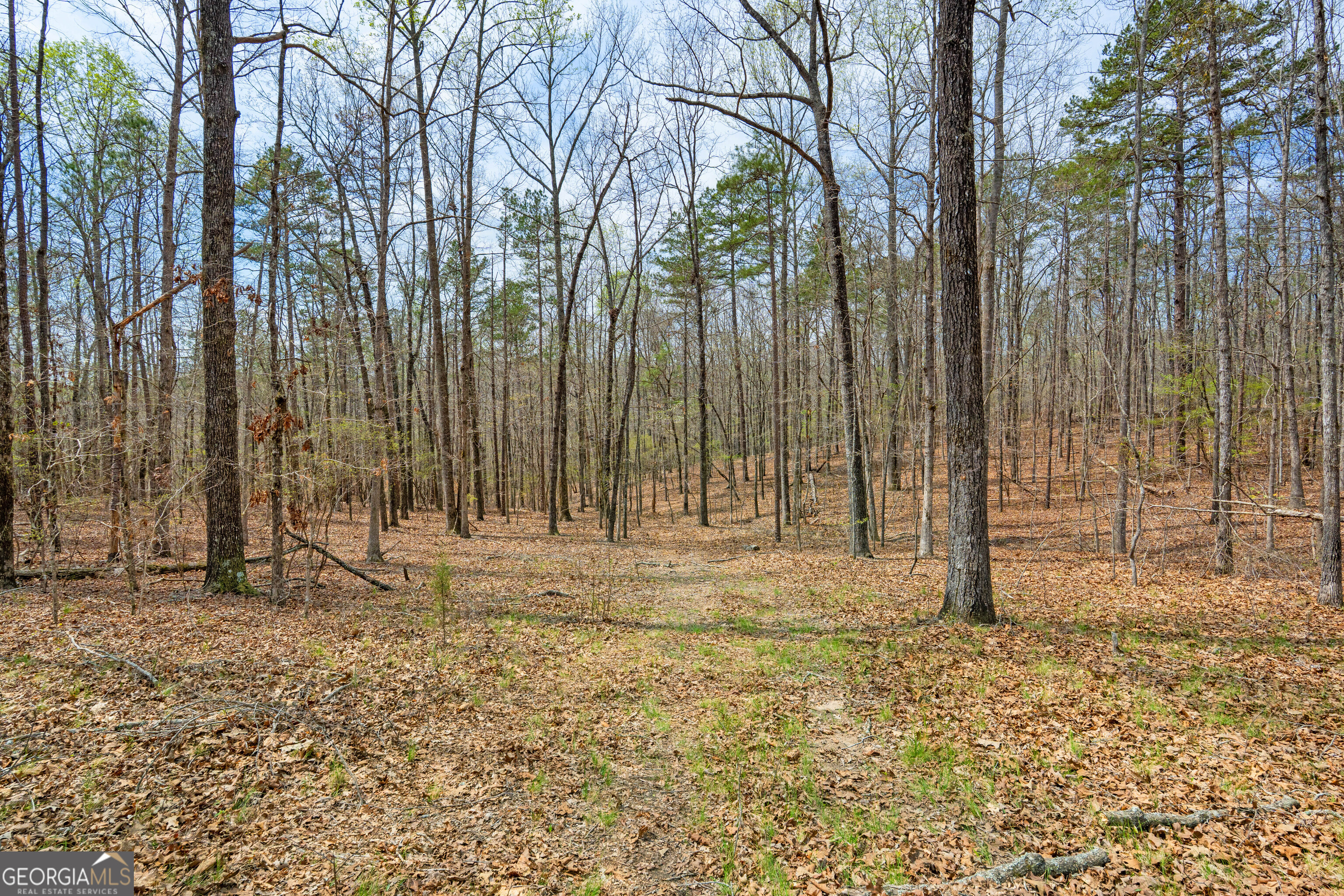 733 Cherry Road Property Photo 53