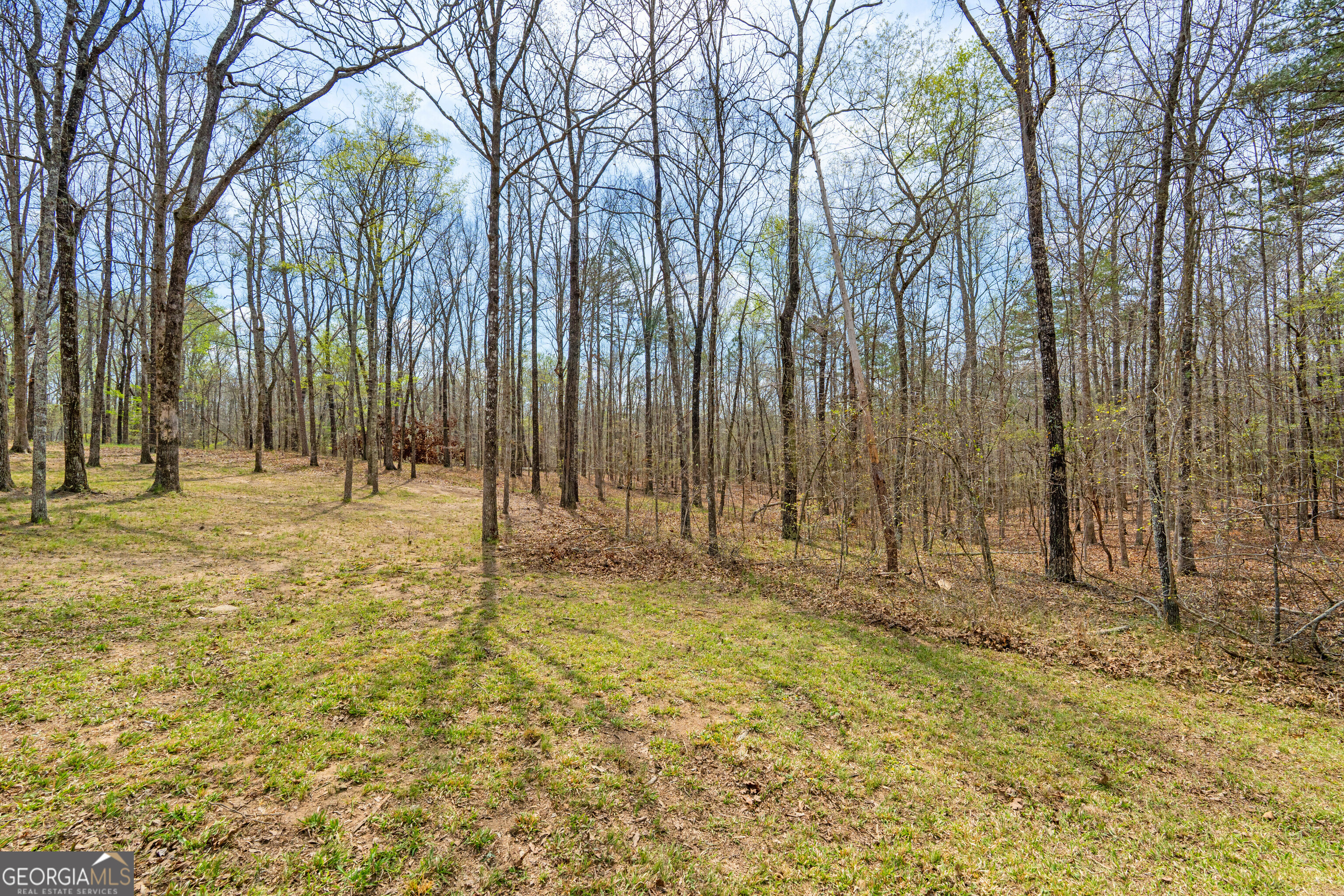 733 Cherry Road Property Photo 54