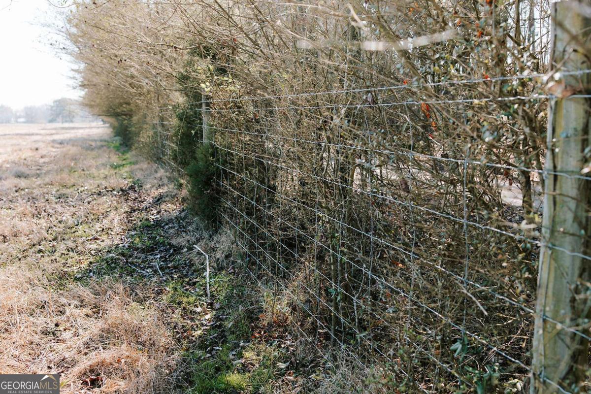 0 Lovers Lane Property Photo 3