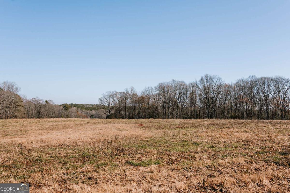 0 Lovers Lane Property Photo 5