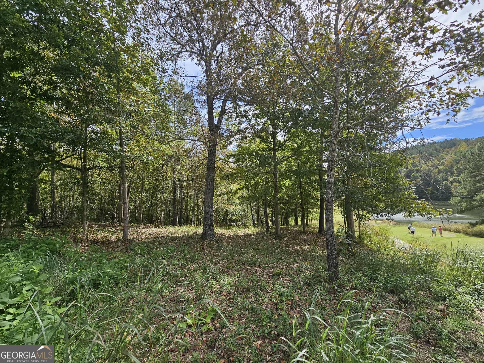 42 Lookout Point Property Photo 1