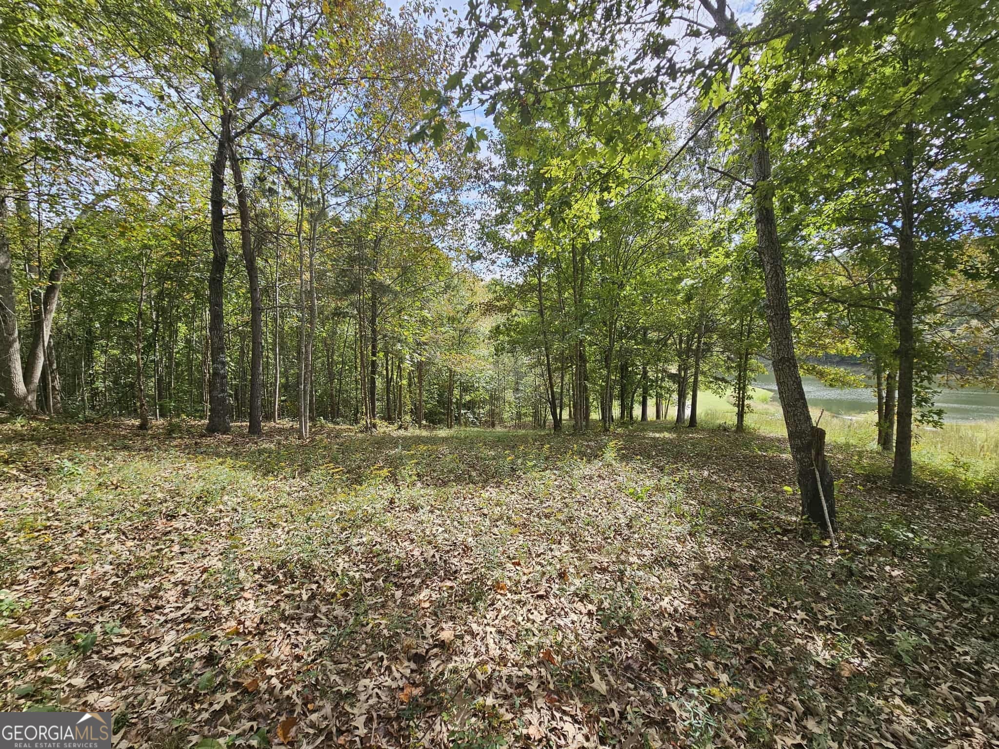 42 Lookout Point Property Photo 2