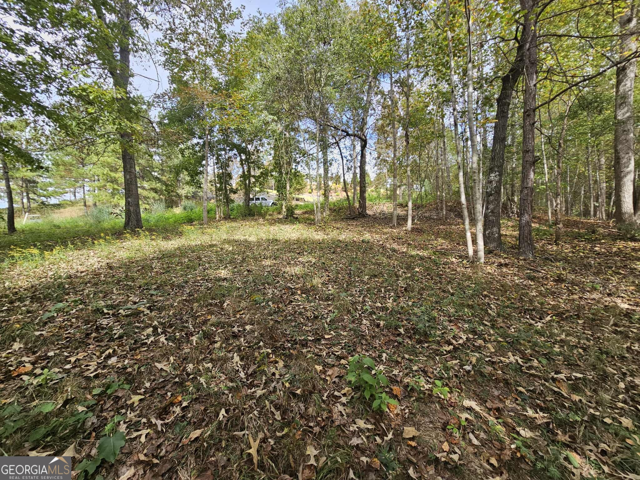 42 Lookout Point Property Photo 5