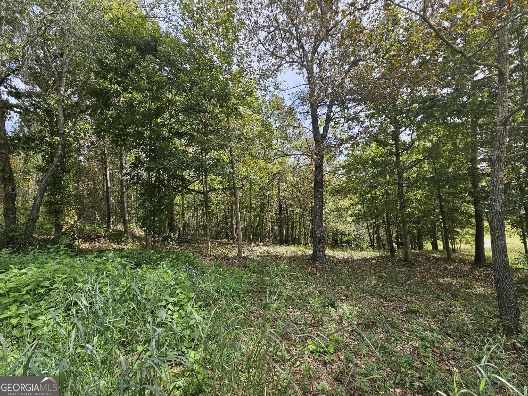 42 Lookout Point Property Photo 7