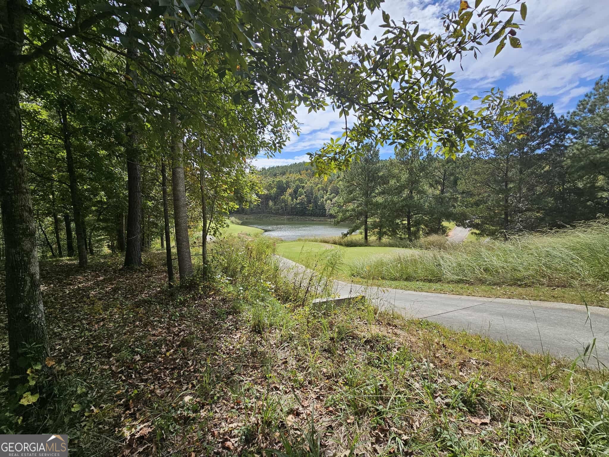 42 Lookout Point Property Photo 8