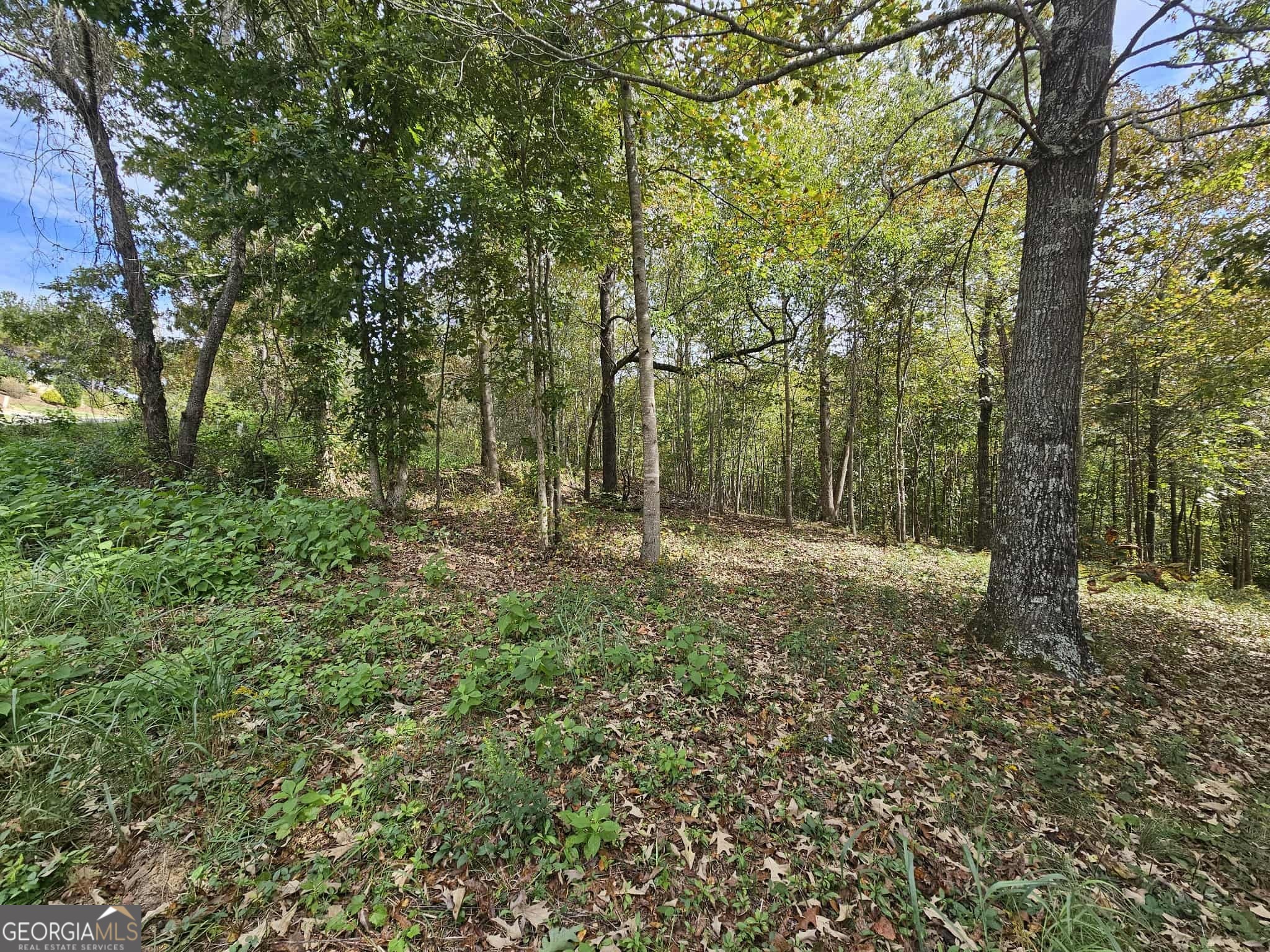 42 Lookout Point Property Photo 9