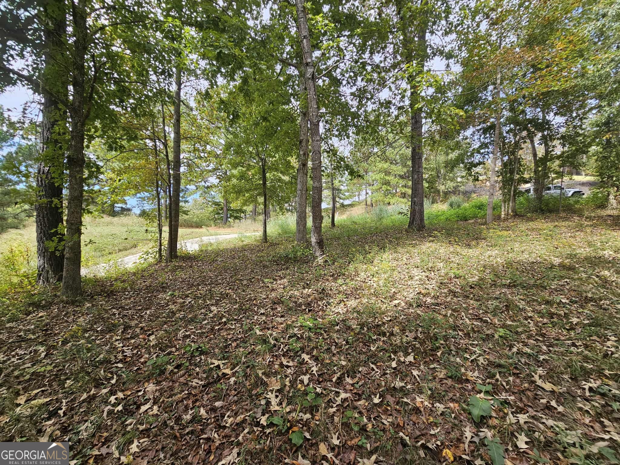 42 Lookout Point Property Photo 11