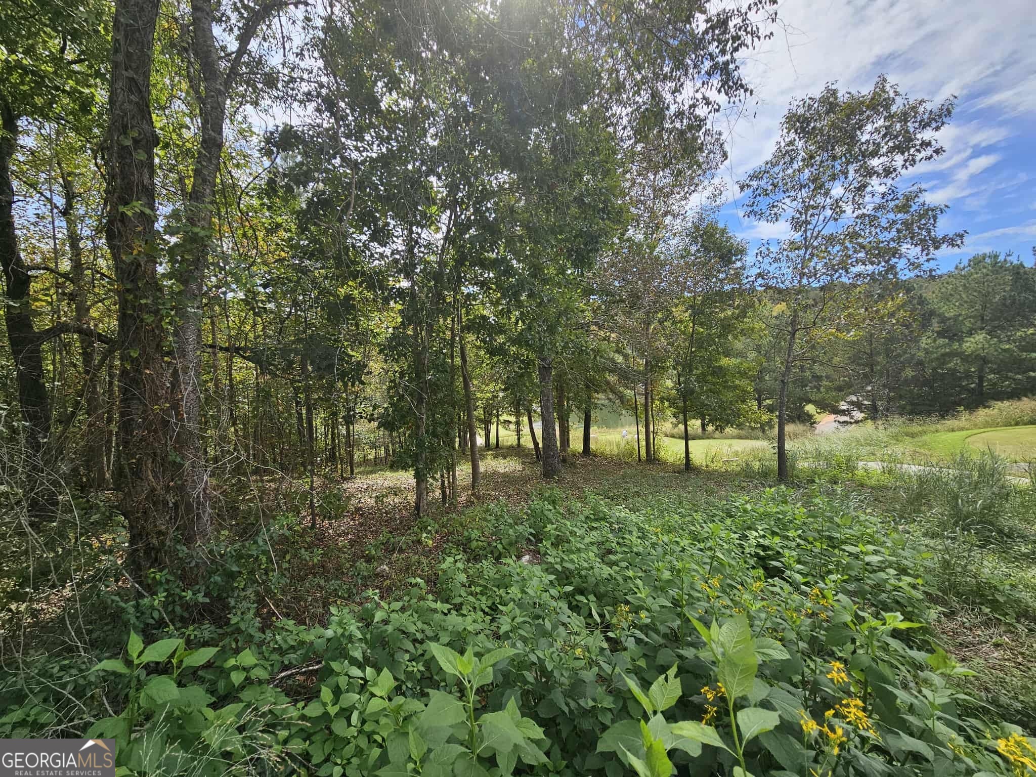 42 Lookout Point Property Photo 12