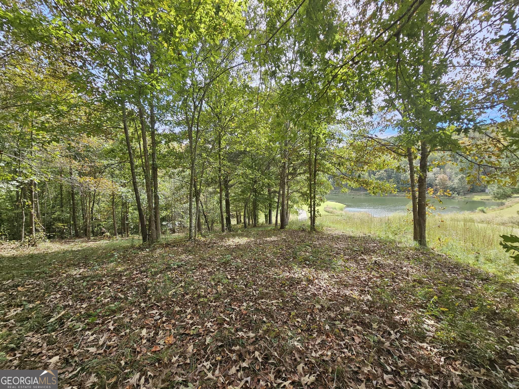 42 Lookout Point Property Photo 13