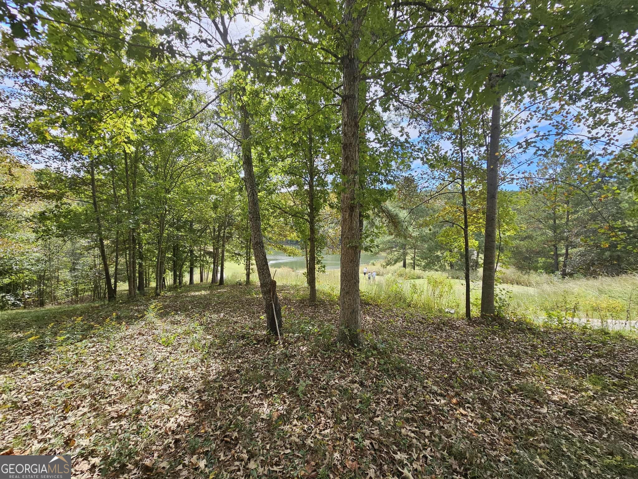 42 Lookout Point Property Photo 15
