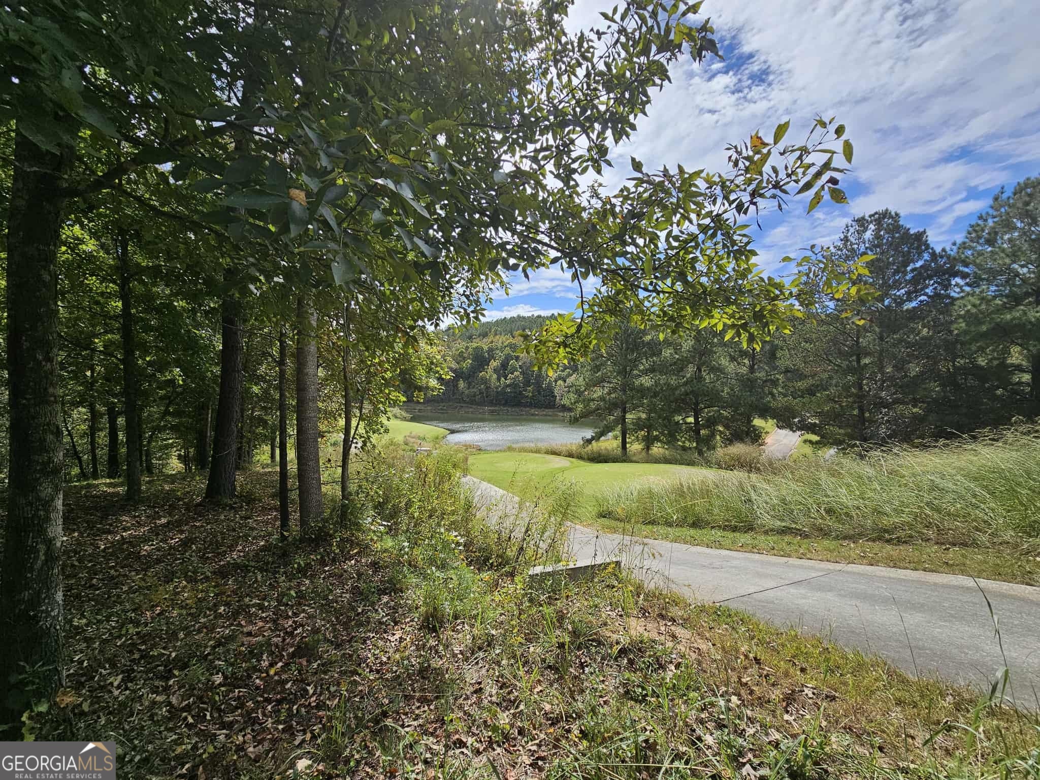 42 Lookout Point Property Photo 16