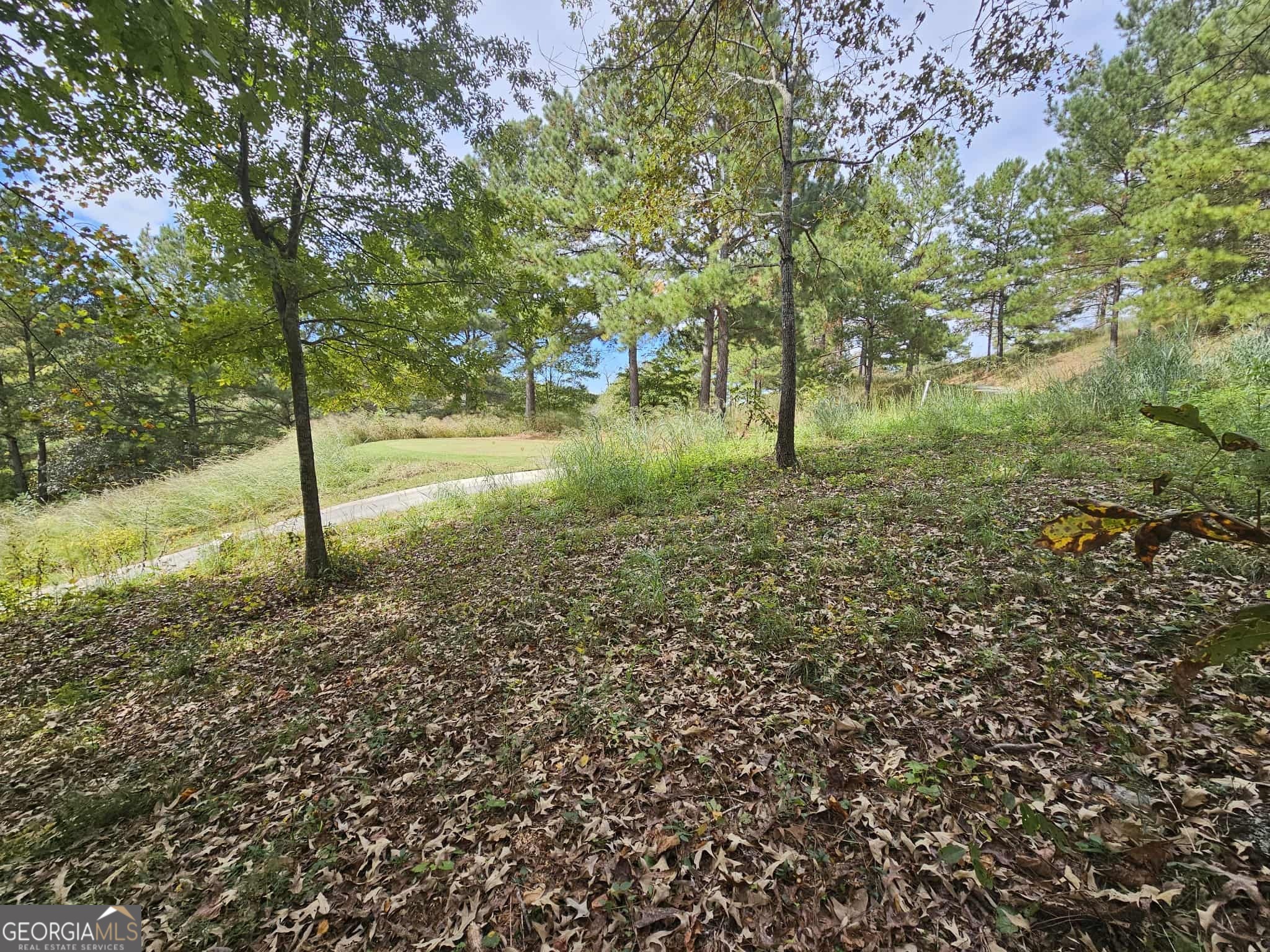 42 Lookout Point Property Photo 17