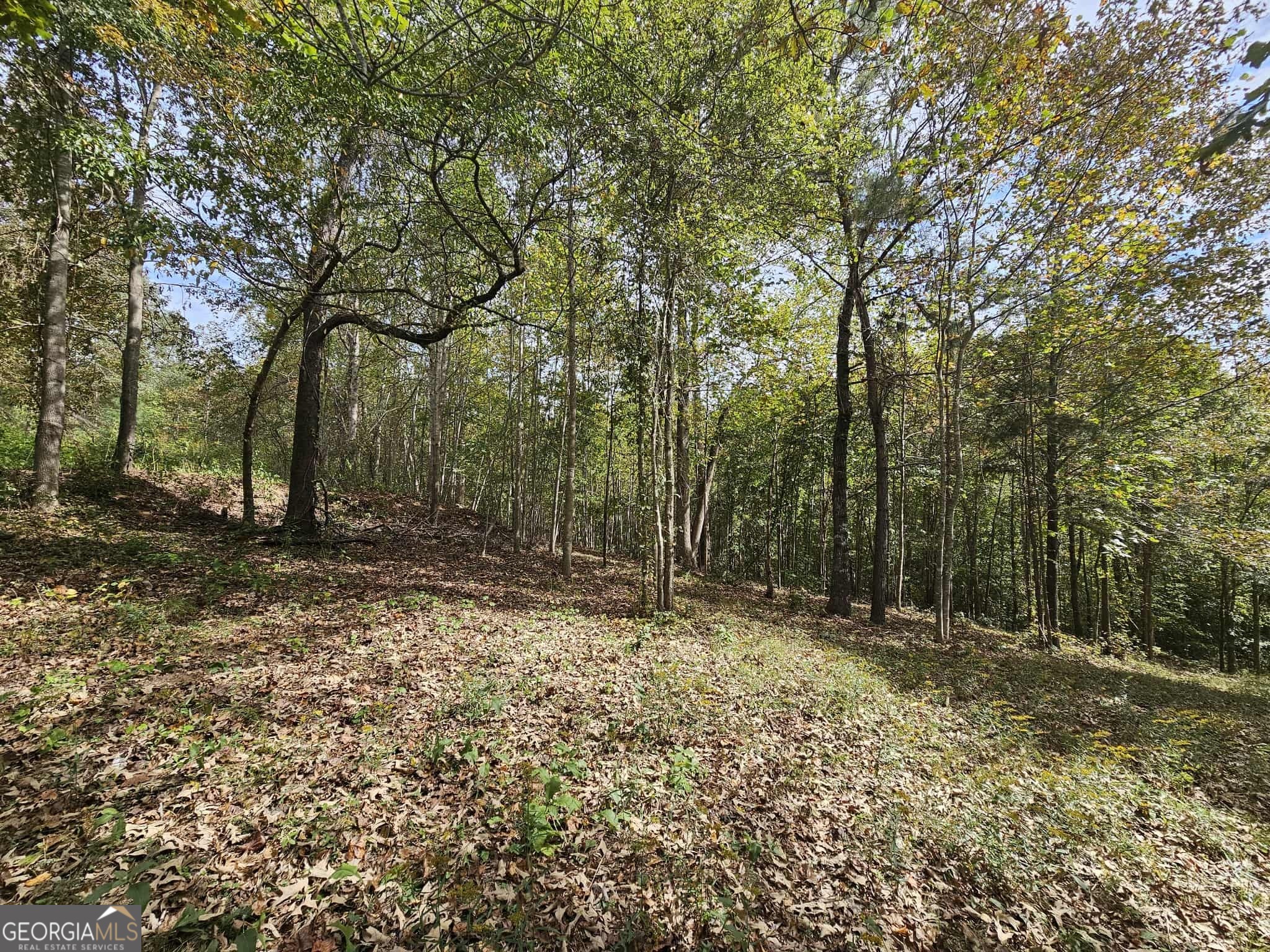 42 Lookout Point Property Photo 18