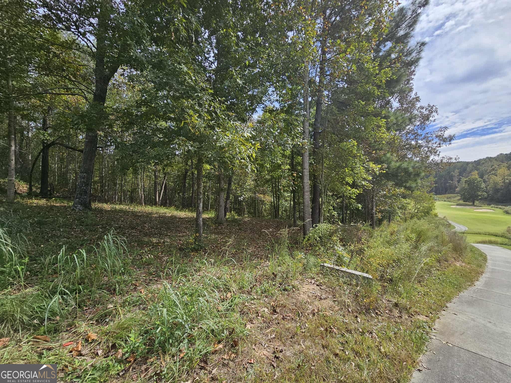 42 Lookout Point Property Photo 19