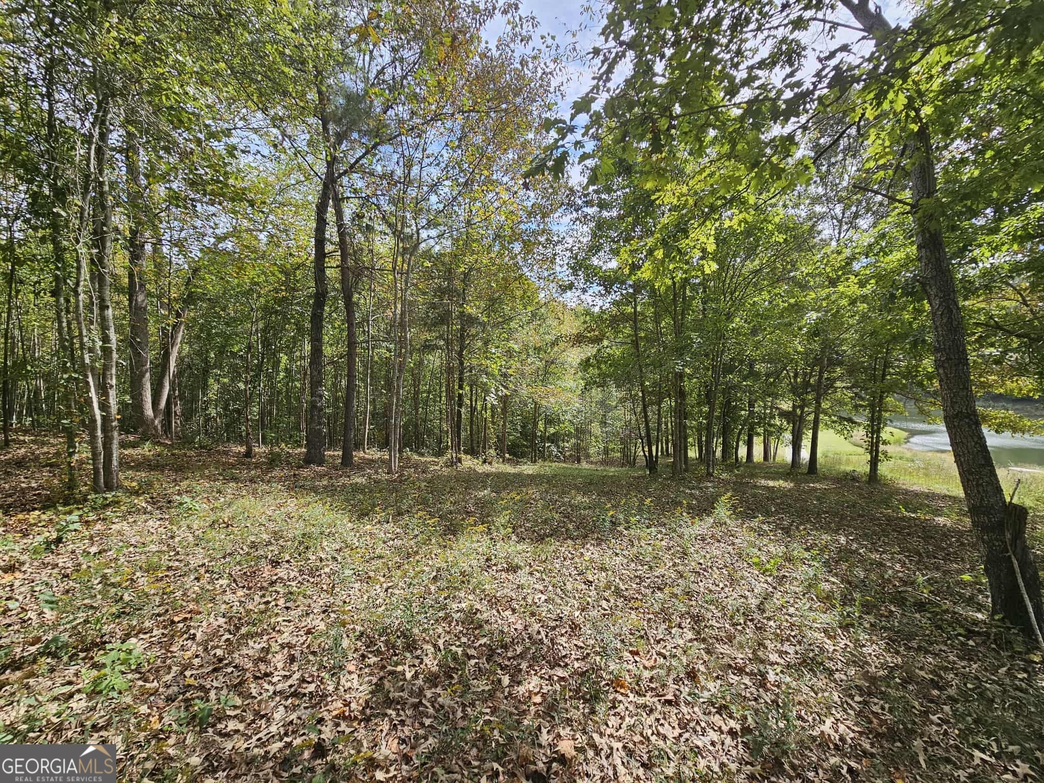 42 Lookout Point Property Photo 20