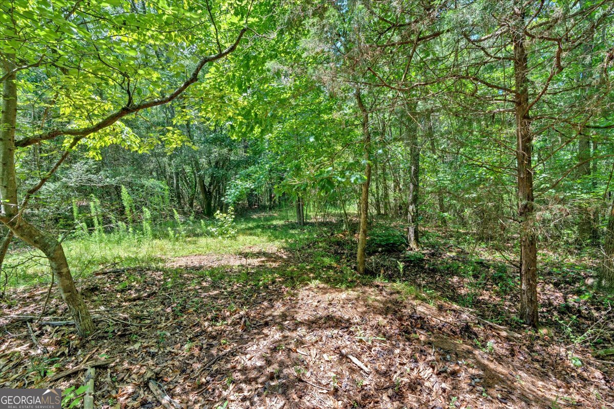 0 Timmons Circle Property Photo 1