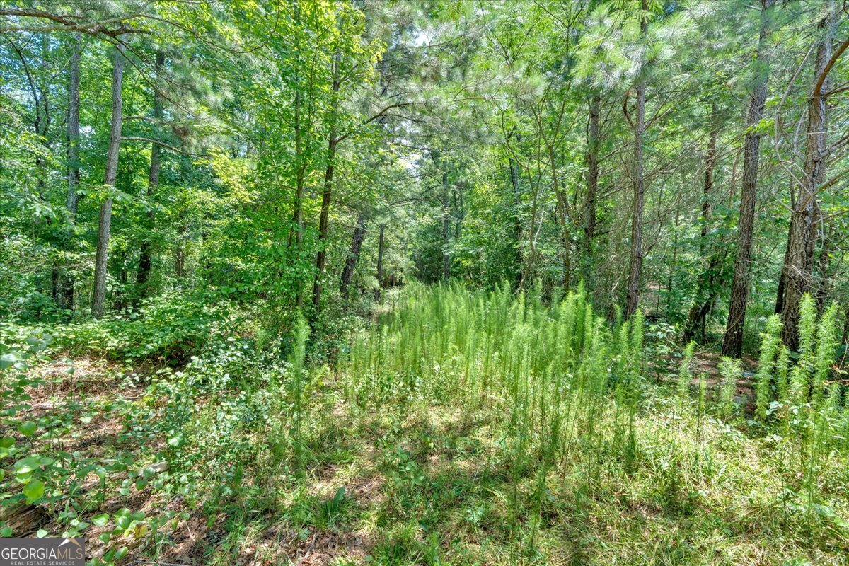 0 Timmons Circle Property Photo 11