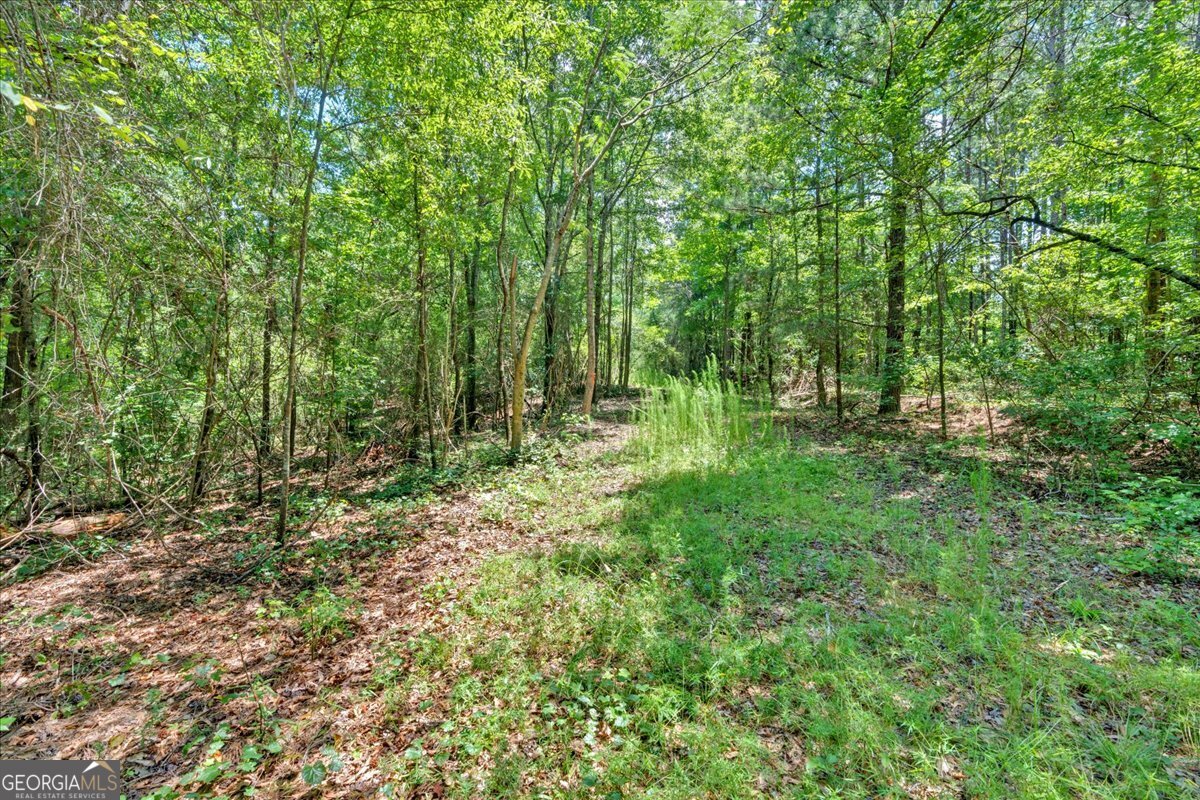 0 Timmons Circle Property Photo 12