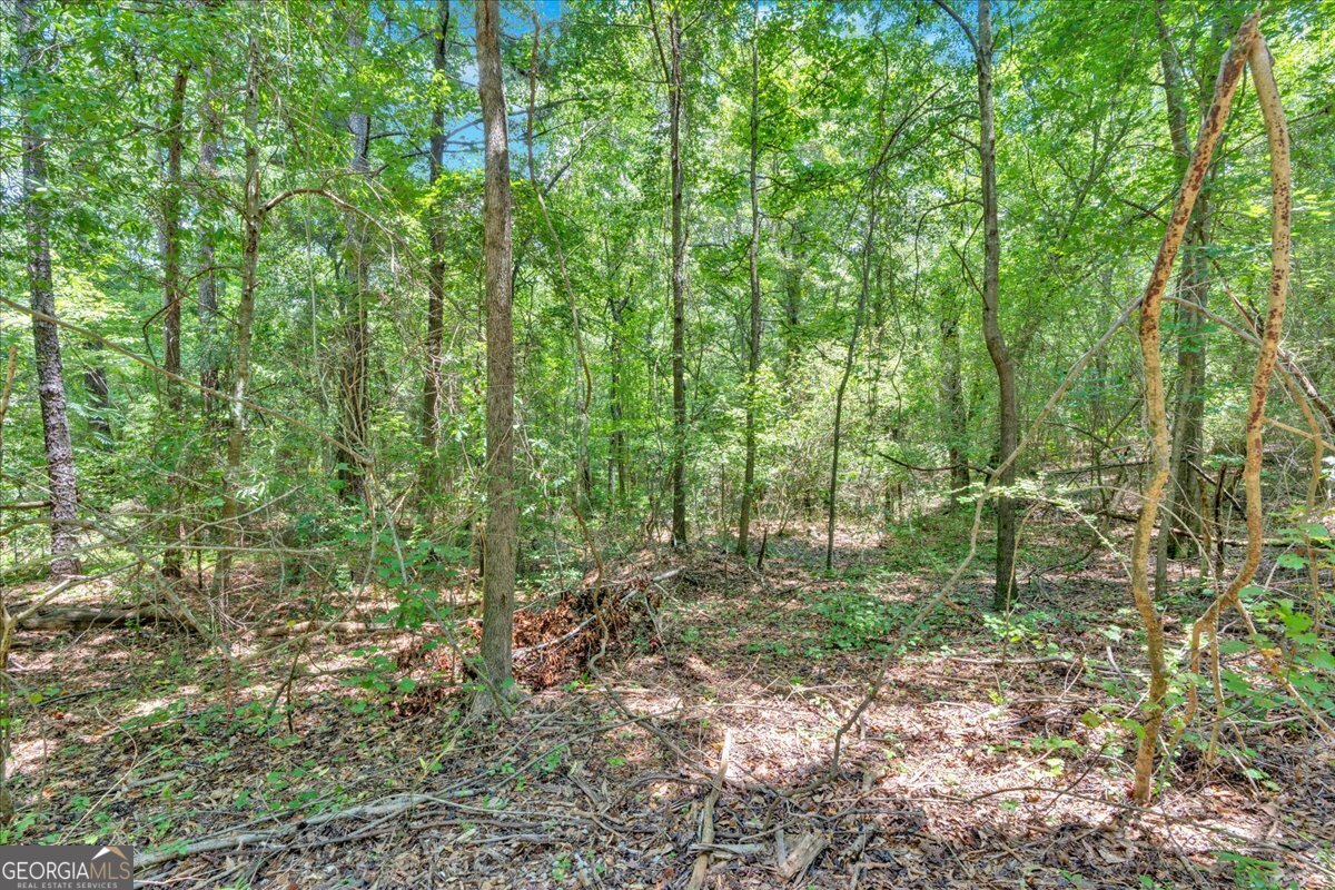0 Timmons Circle Property Photo 13