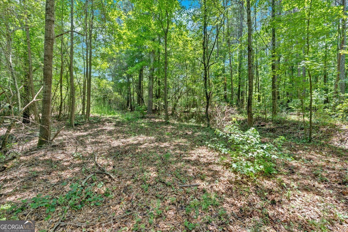 0 Timmons Circle Property Photo 14