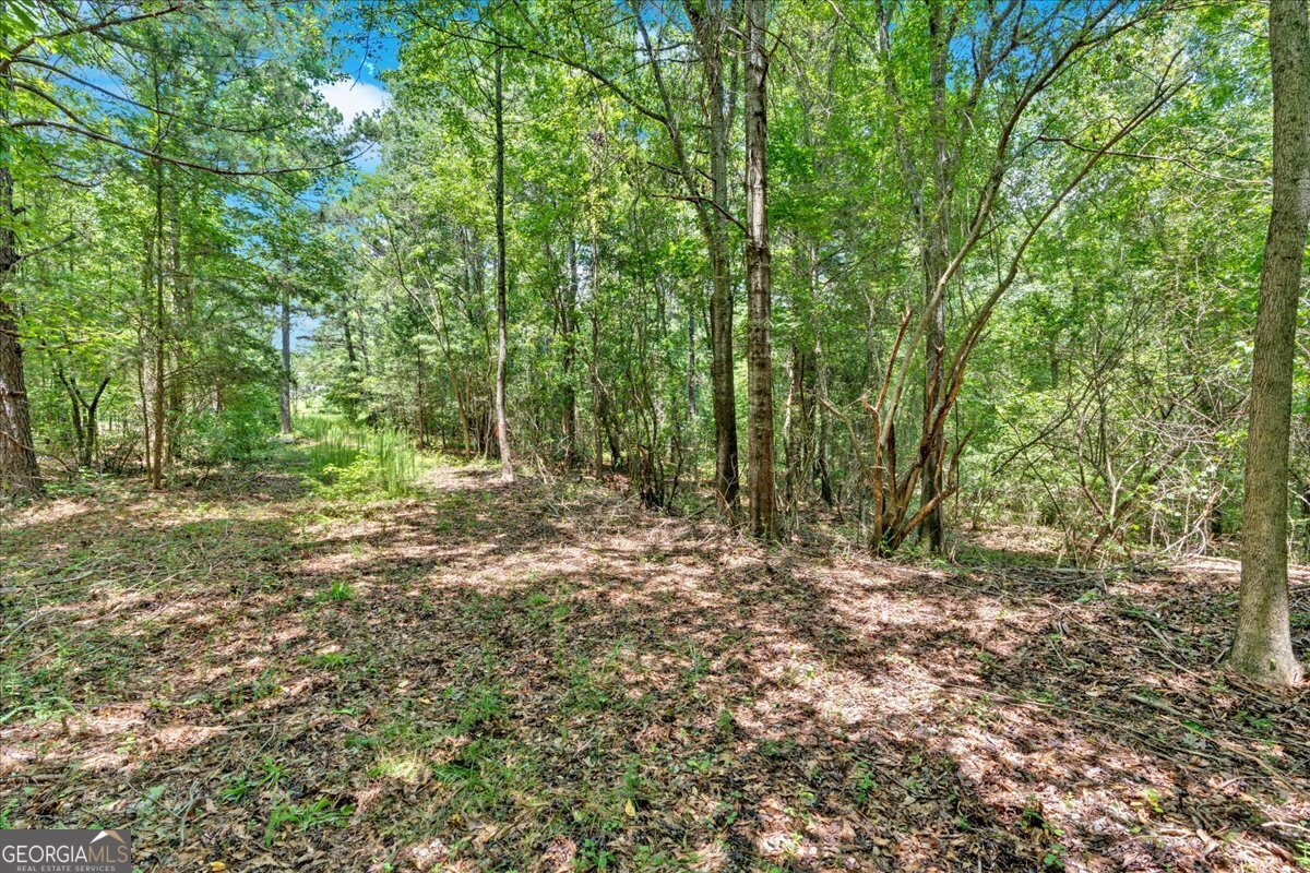 0 Timmons Circle Property Photo 15