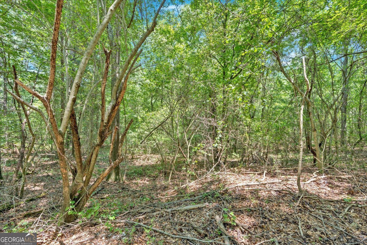 0 Timmons Circle Property Photo 16