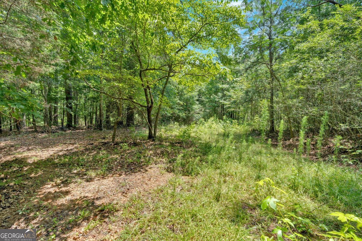 0 Timmons Circle Property Photo 18