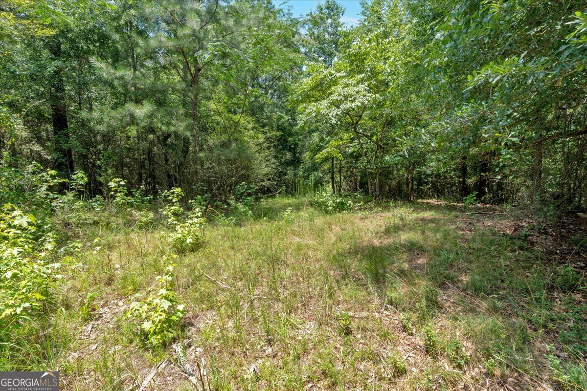 0 Timmons Circle Property Photo 19