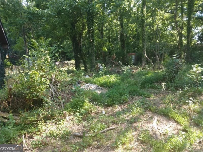 1122 West Avenue Sw Property Photo 6