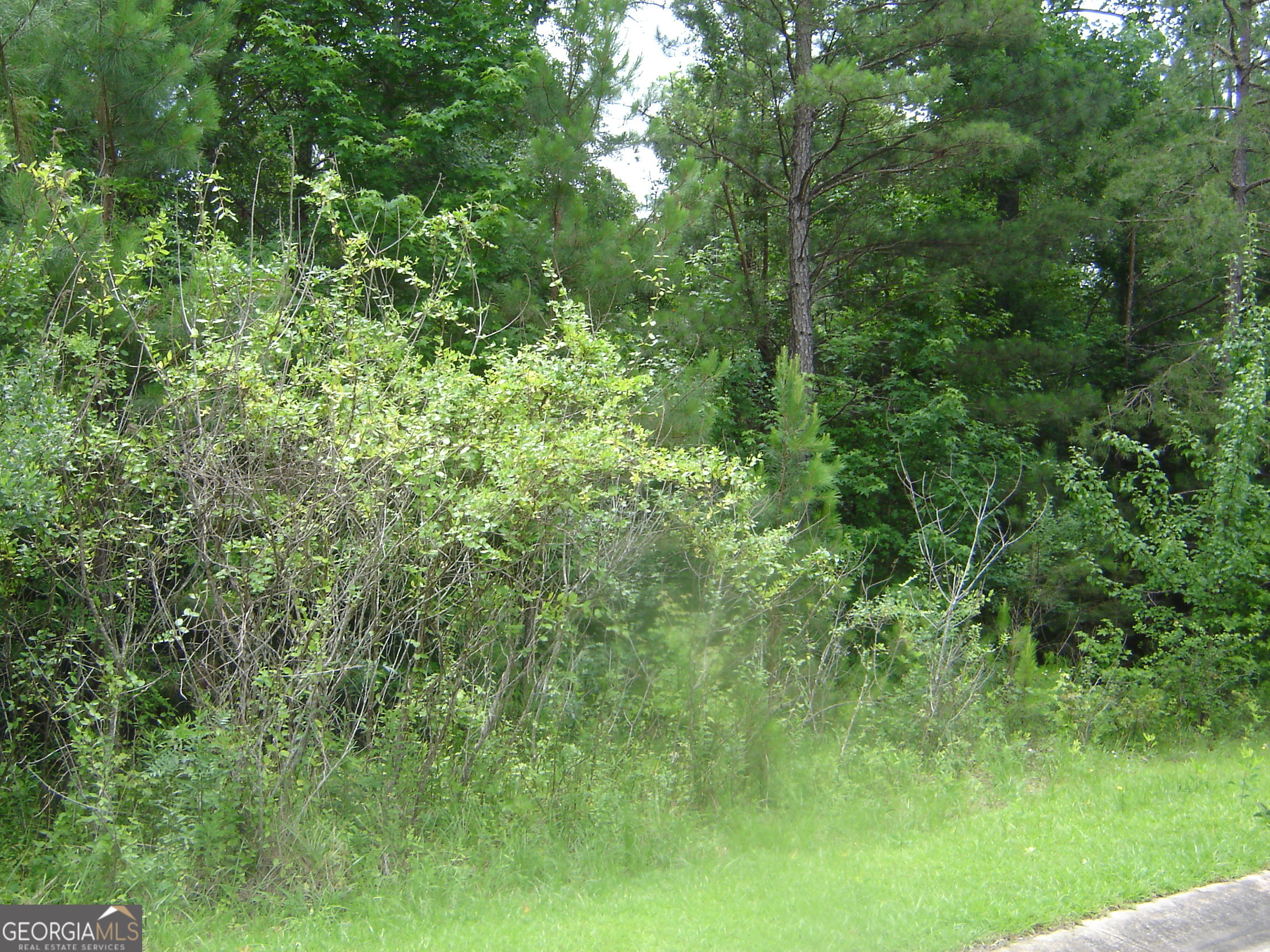 Lot 38 Victoria Terrace Property Photo 5