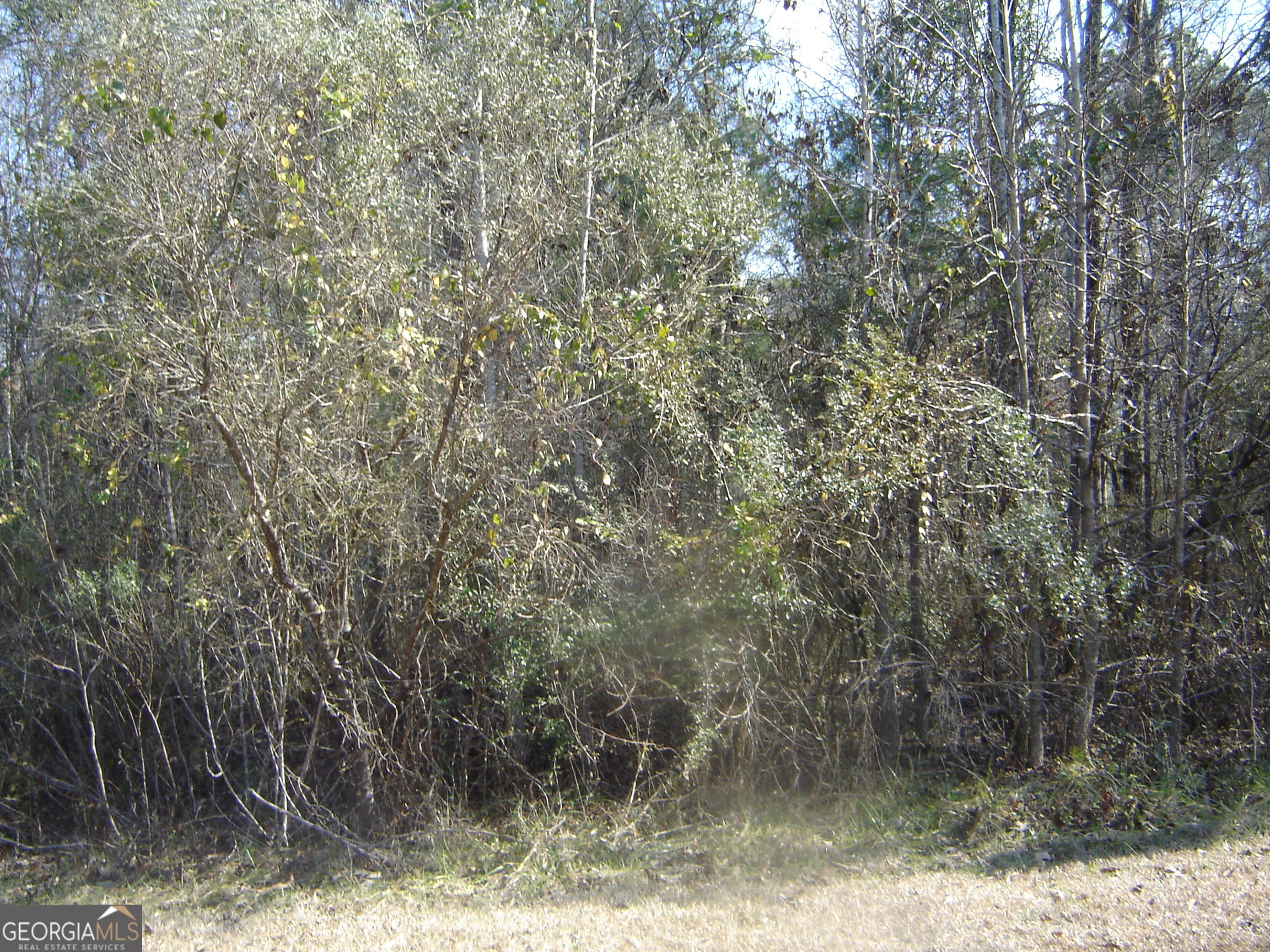 Lot 38 Victoria Terrace Property Photo 7