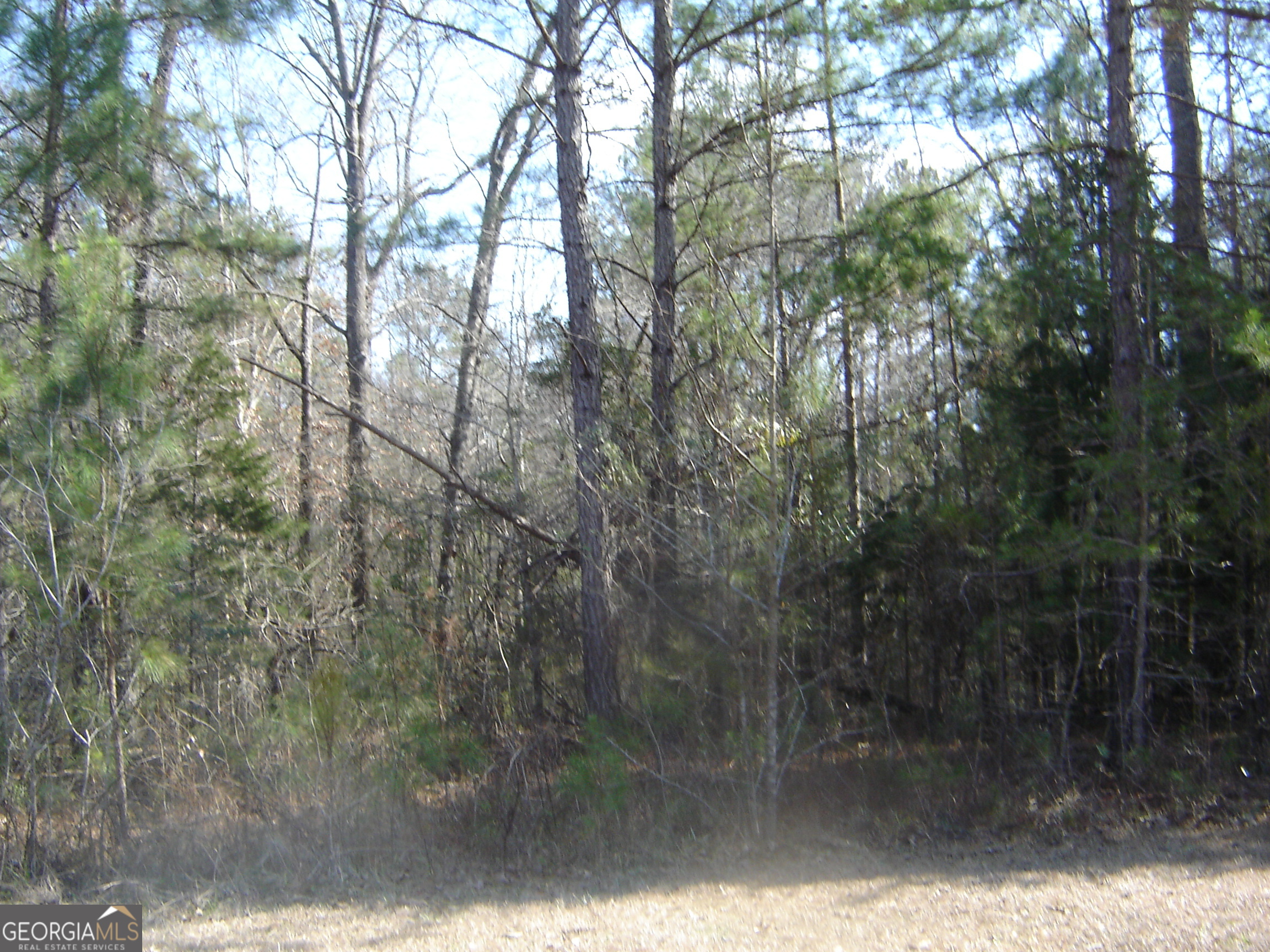 Lot 38 Victoria Terrace Property Photo 8